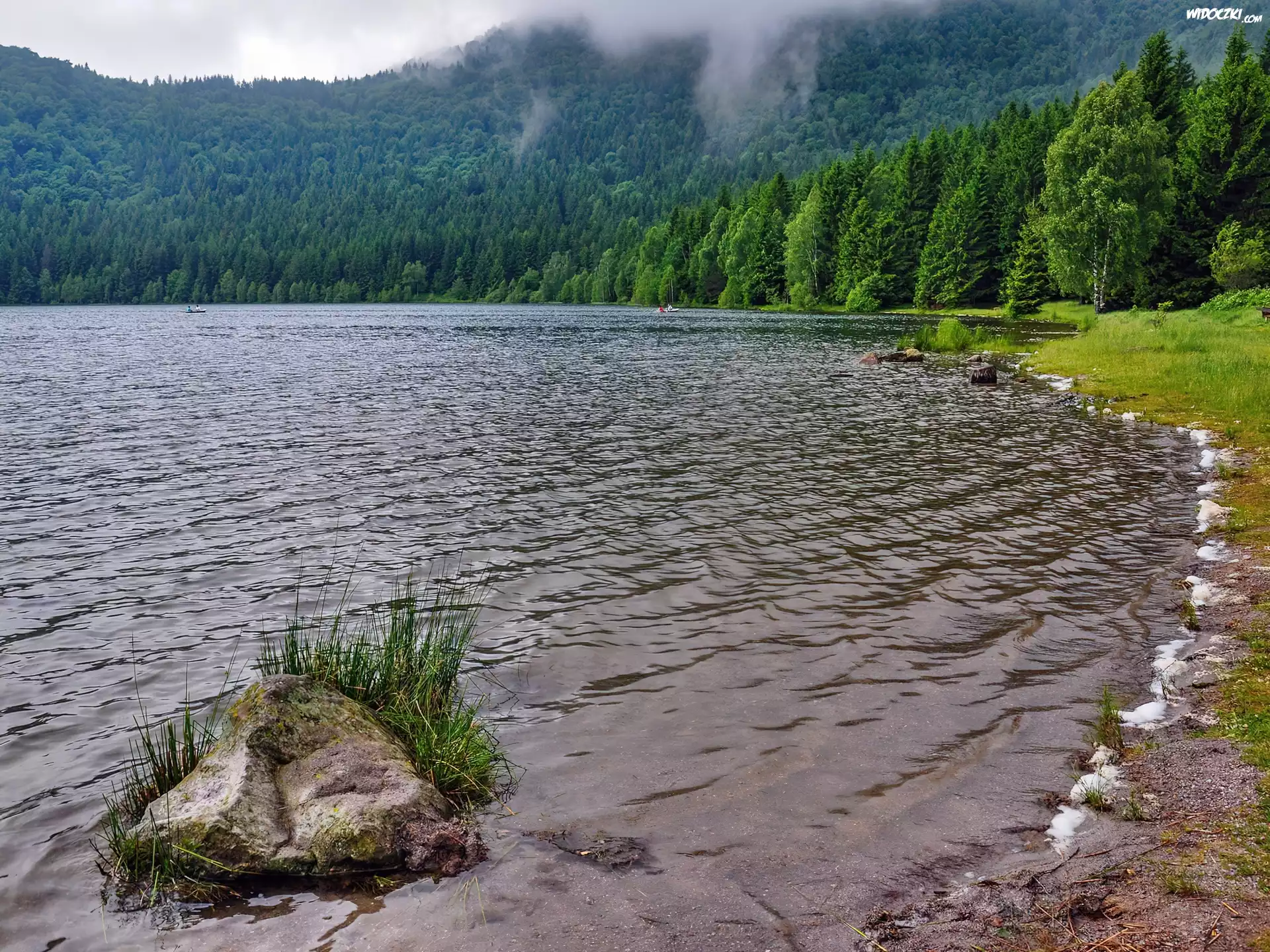 Jezioro, Brzeg, Las, Mgła