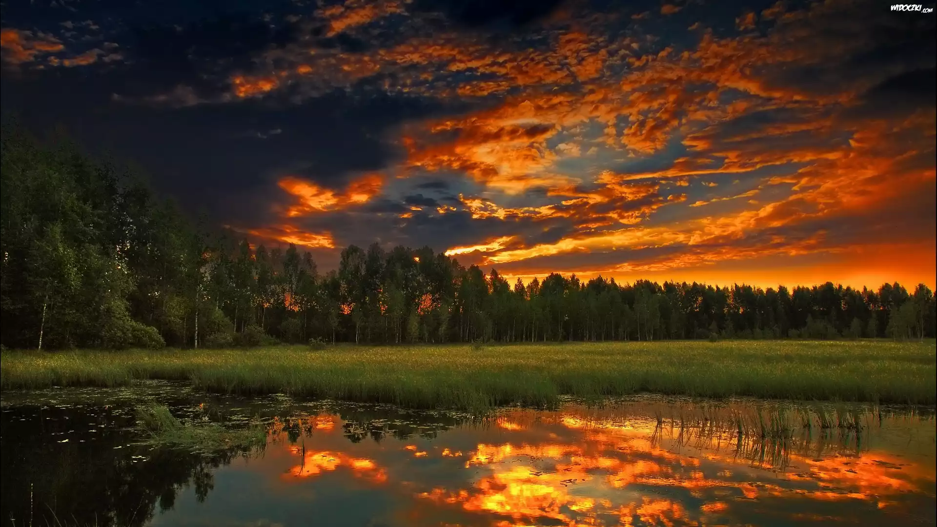 Las, Jezioro, Chmury