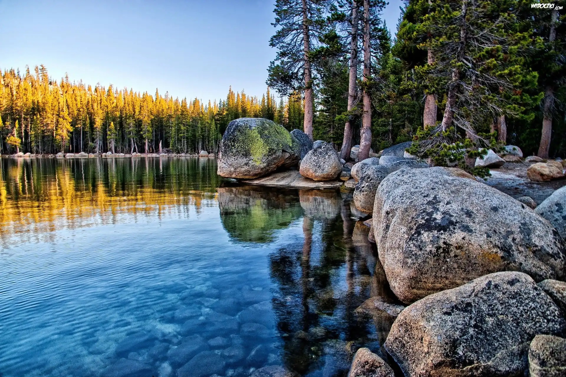 Stany Zjednoczone, Stan Kalifornia, Park Narodowy Yosemite, Las, Jezioro Tenaya, Kamienie