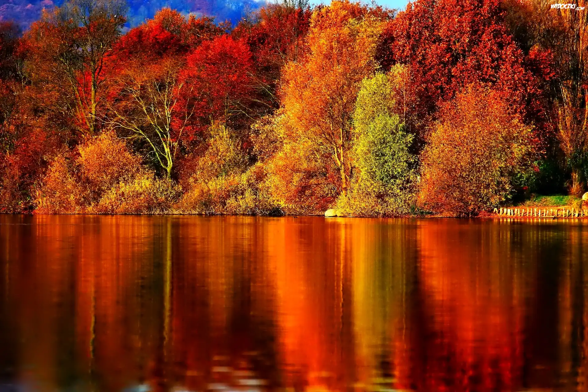 Jezioro, Kolorowy, Las, Odbicie