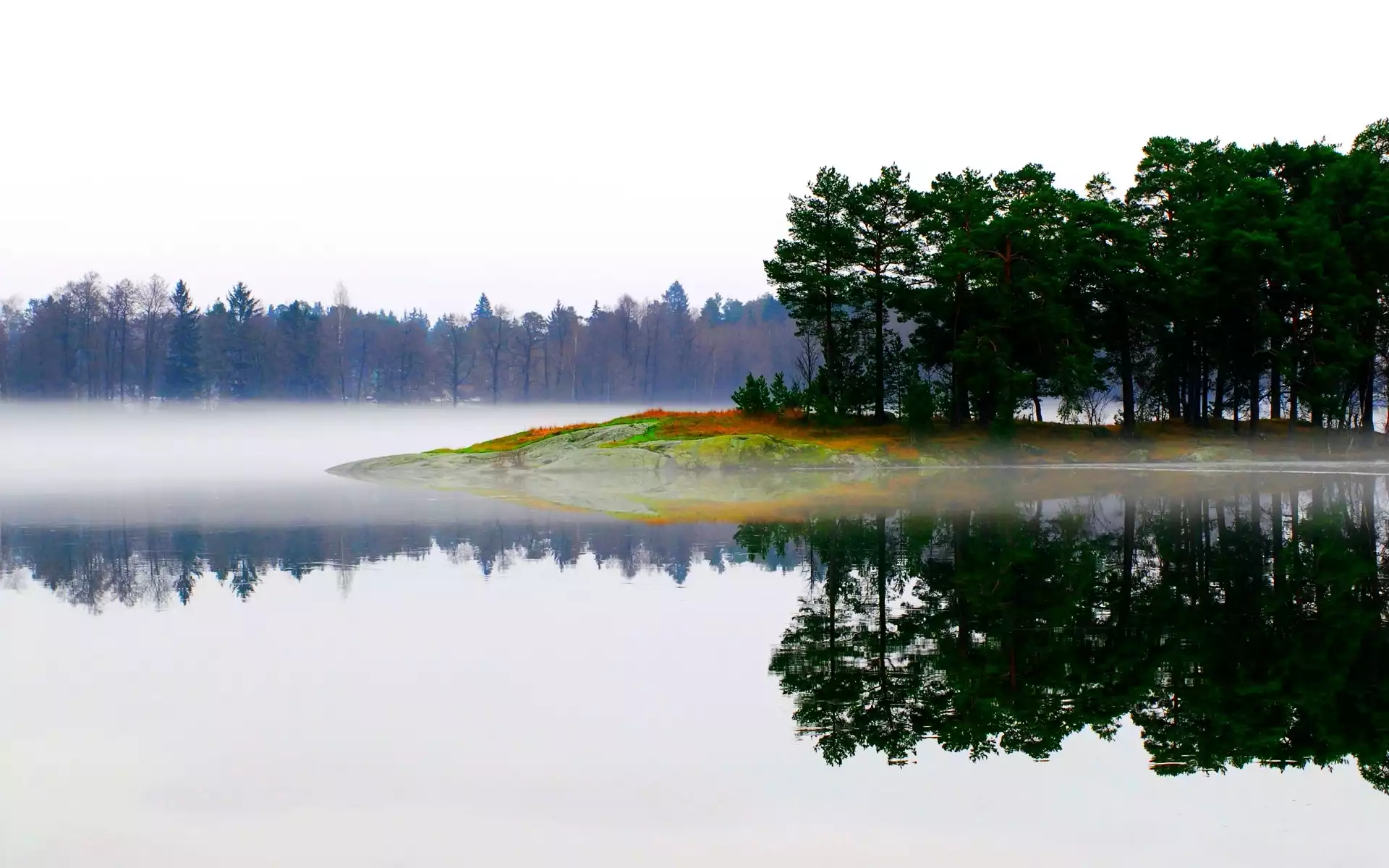 Las, Jezioro, Odbicie