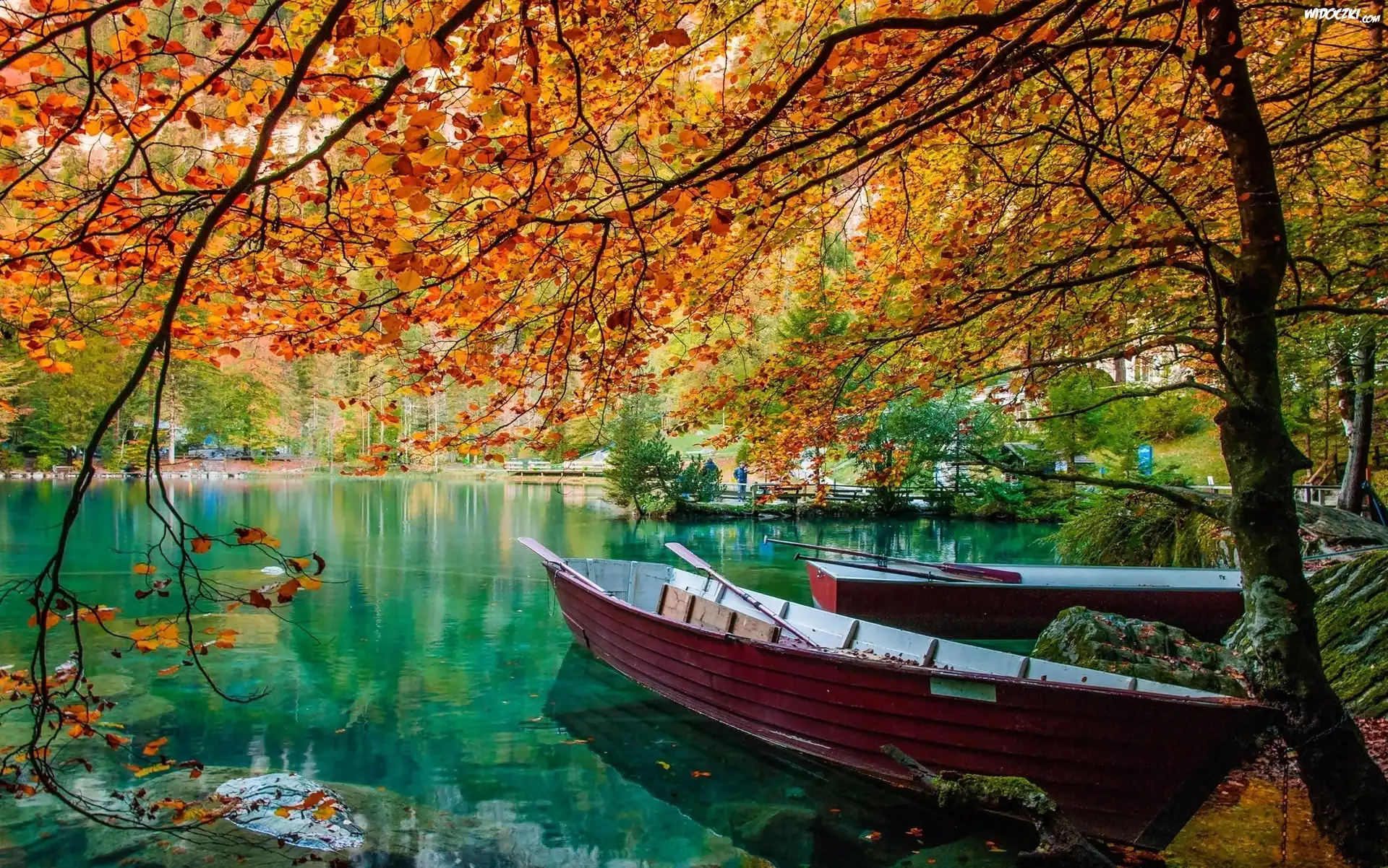 Jezioro, Łódki, Las, Jesień