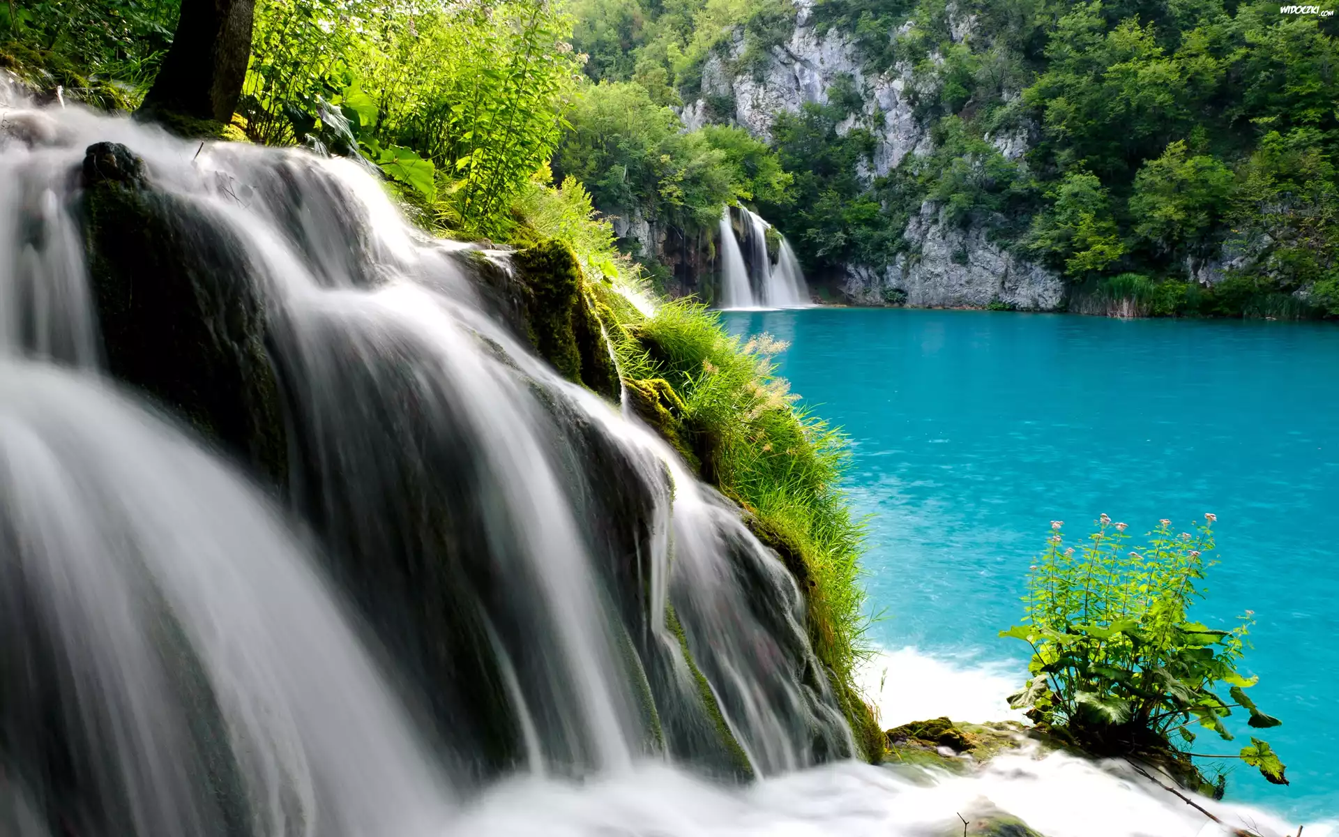 Las, Jezioro, Wodospady