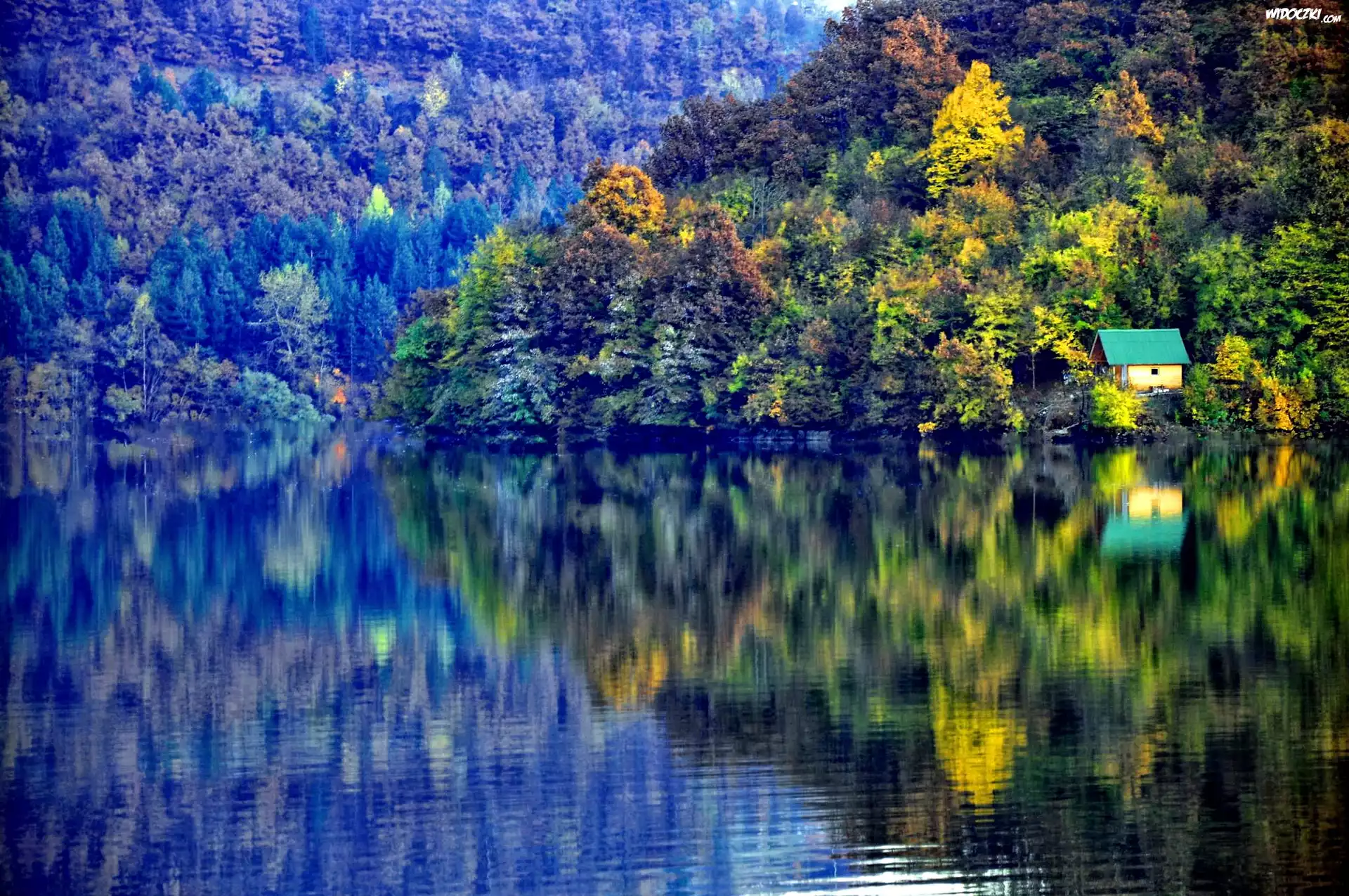 Jezioro, Góry, Lasy, Domek