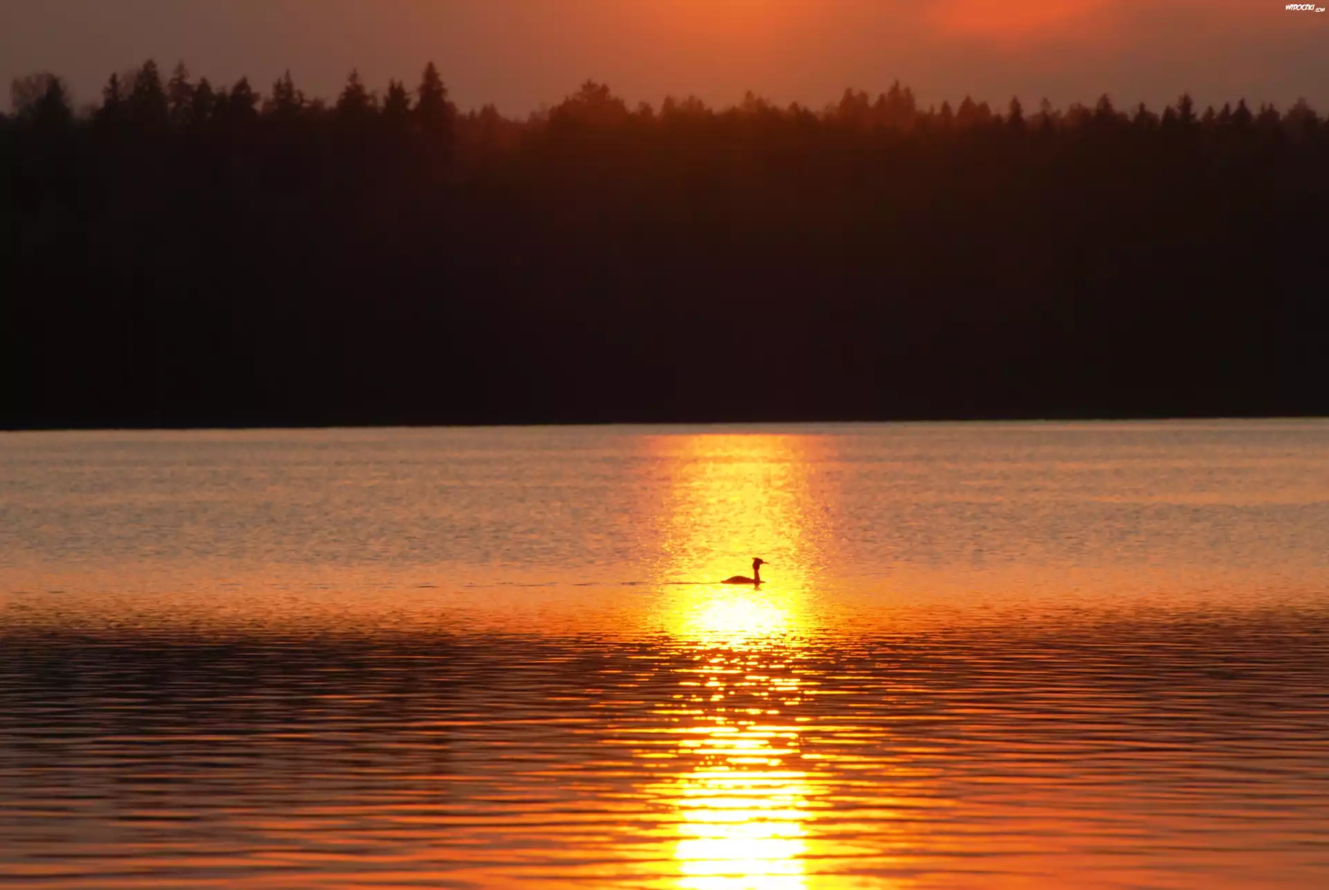 Jezioro, Litygajno