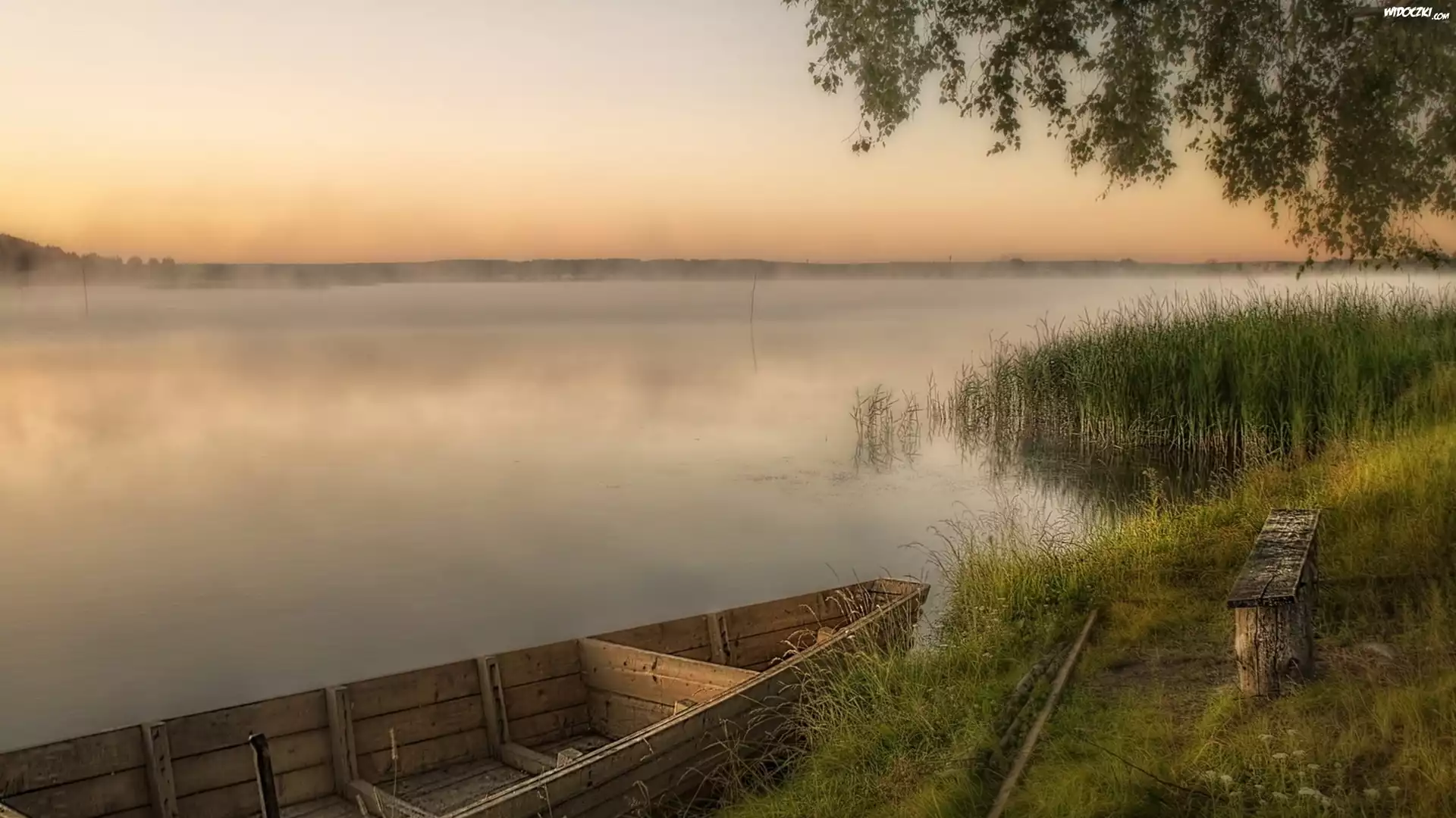 Jezioro, Łódz, Mgła, Szuwary