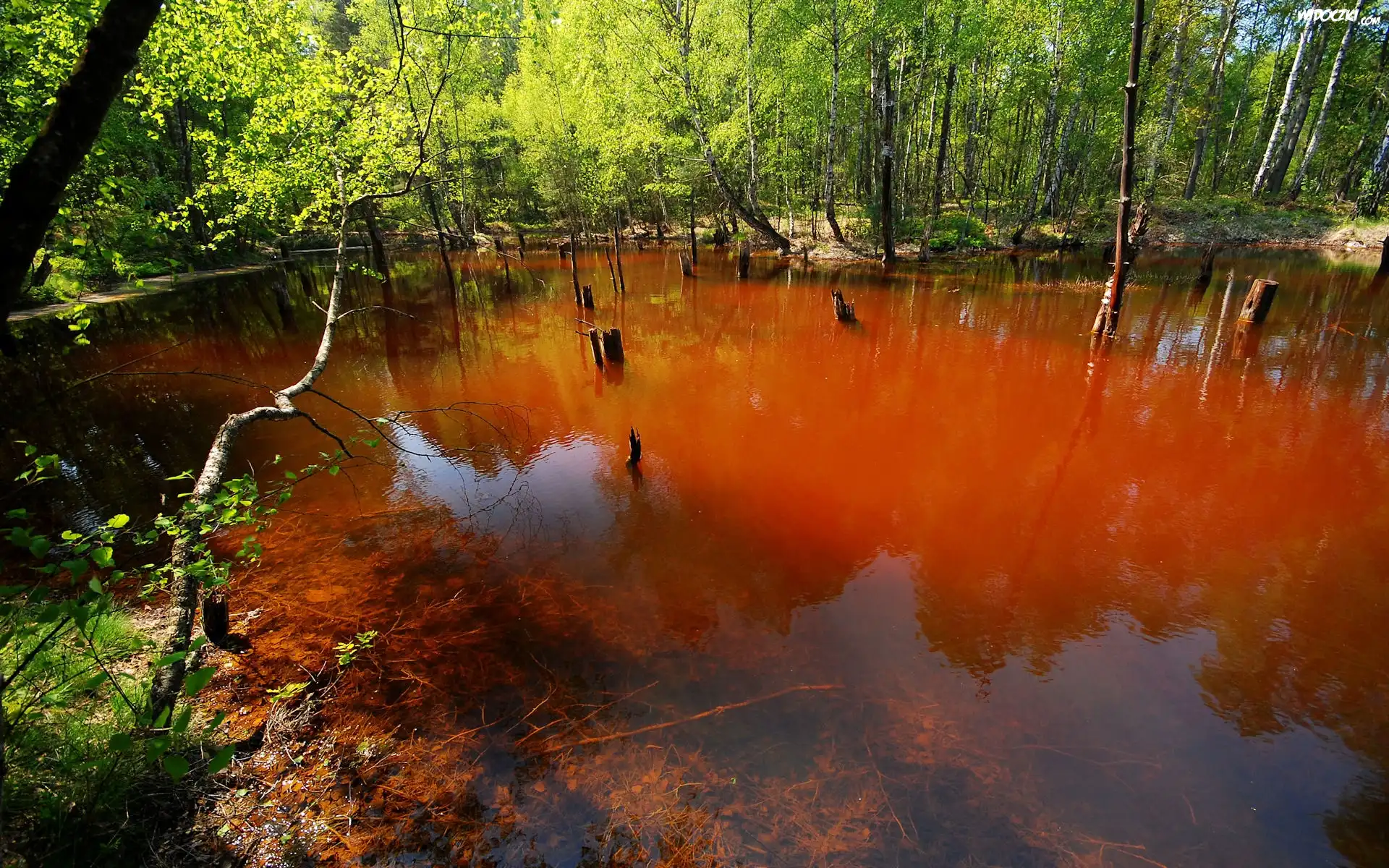 Jezioro, Antropogeniczne, Łuk Mużakowa, Park
