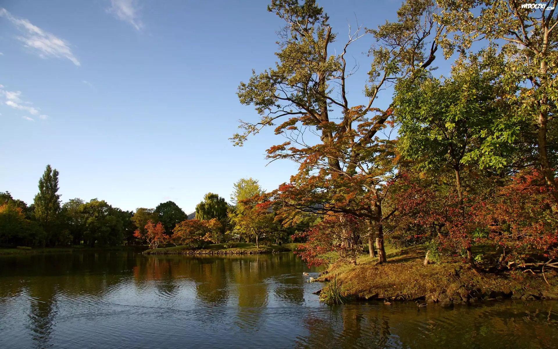 Jezioro, Park, Nakajima, Japonia