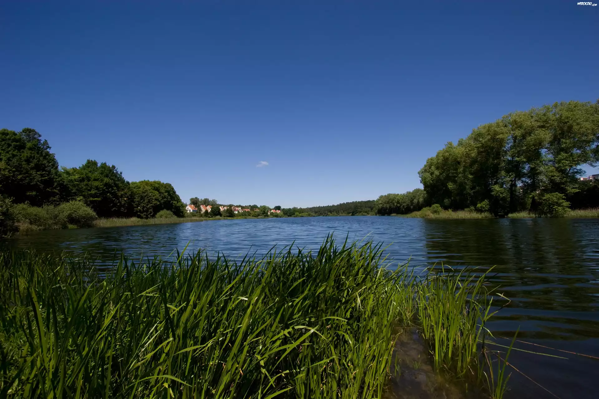 Jezioro, Trzciny, Niebo, Olsztyn