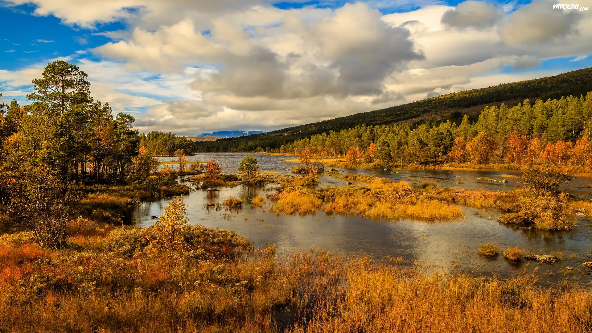 Jesień, Jezioro, Drzewa, Lasy, Park Narodowy Hardangervidda, Norwegia