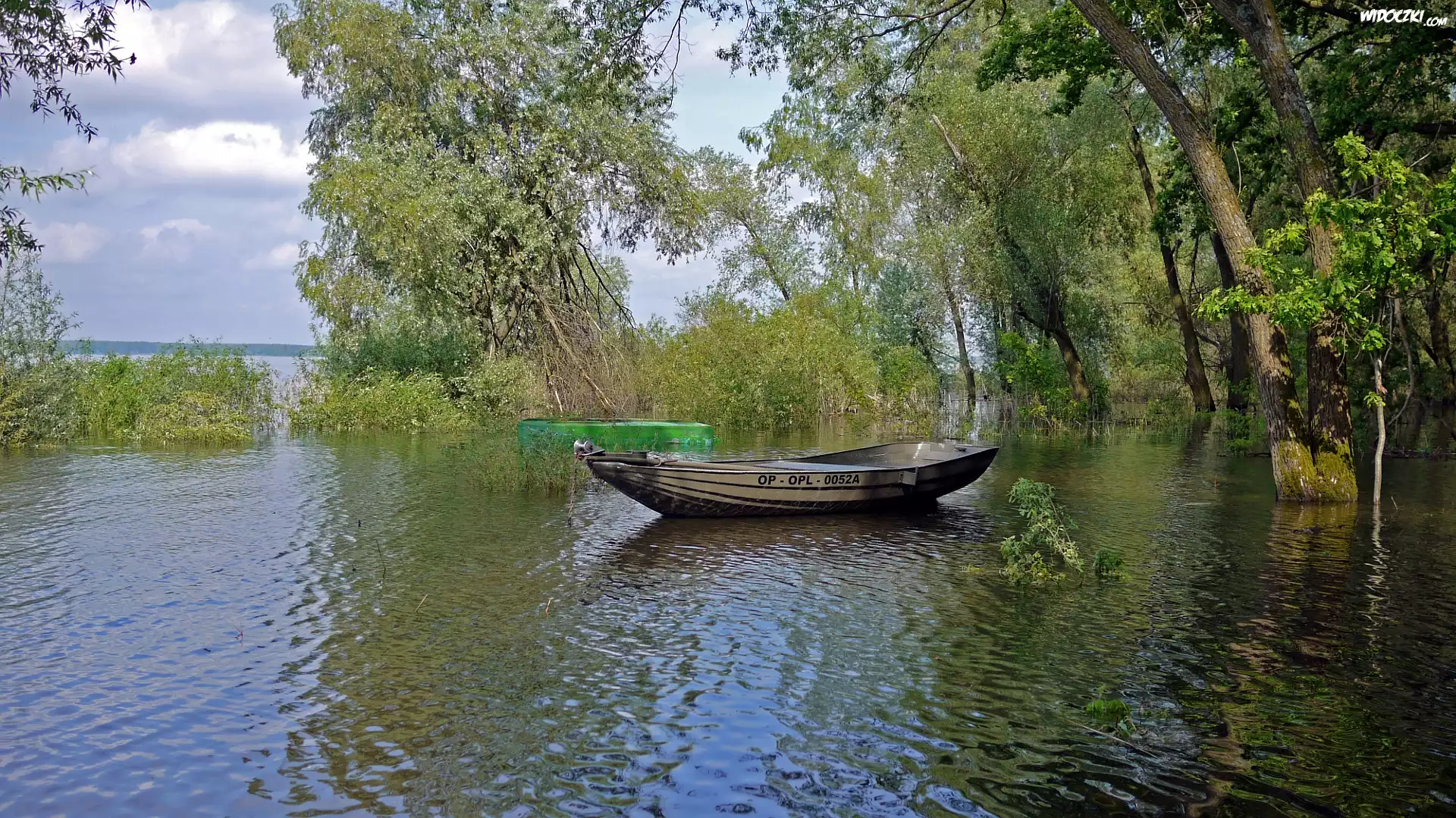 Łódka, Jezioro, Drzewa