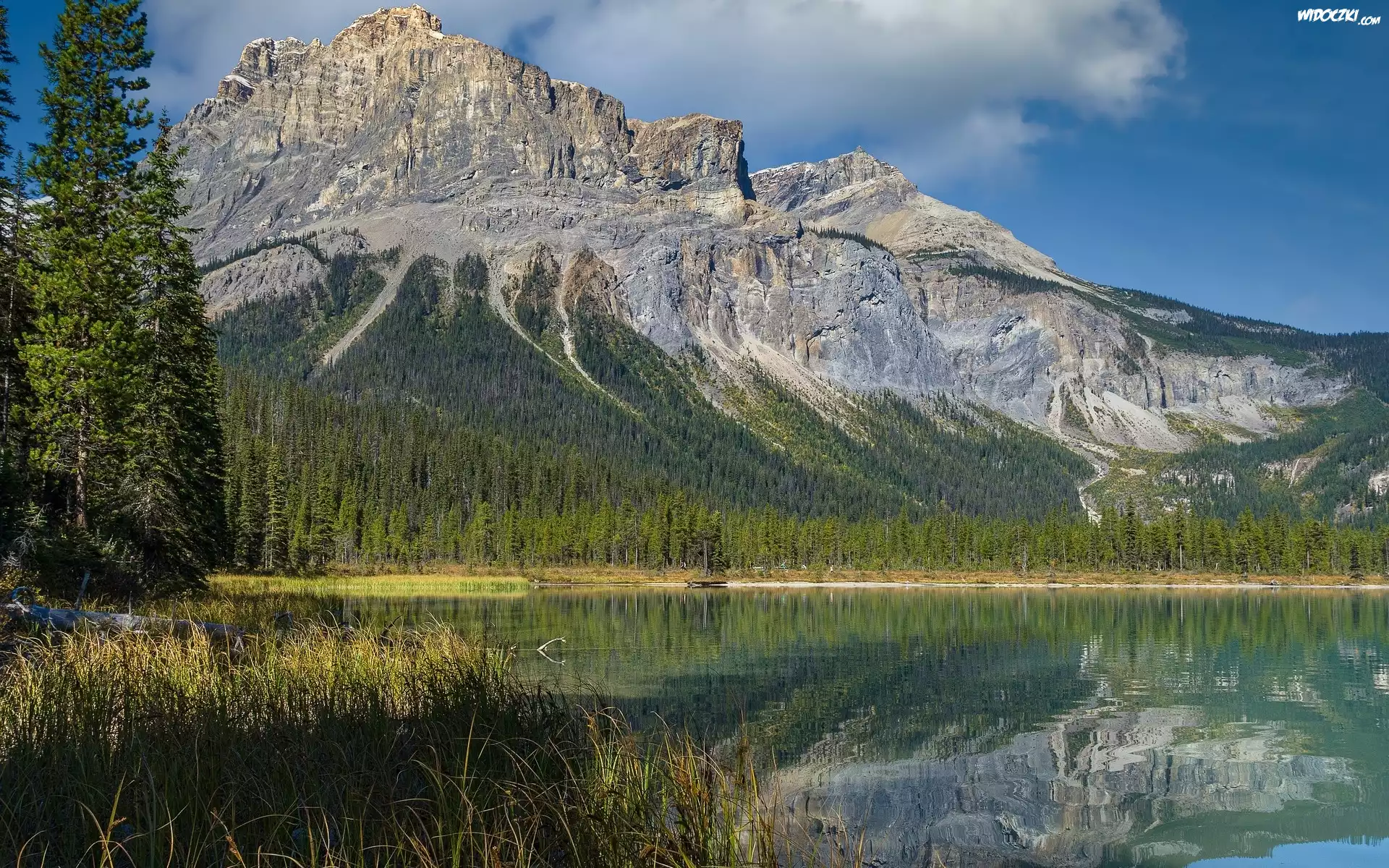 Park Narodowy Yoho, Góry Skaliste, Jezioro, Emerald Lake, Drzewa, Kolumbia Brytyjska, Kanada