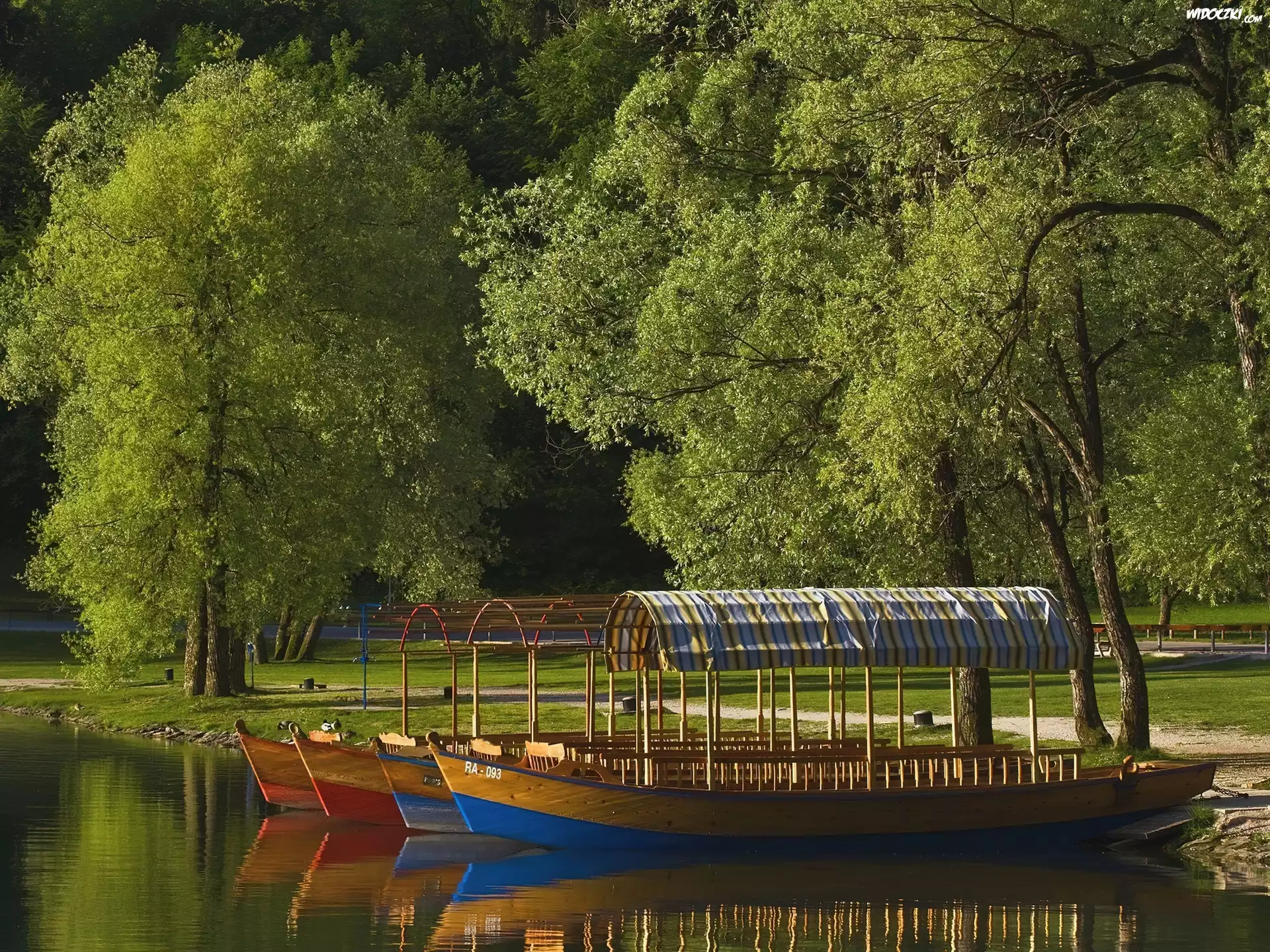 Park, Jezioro, Łodzie
