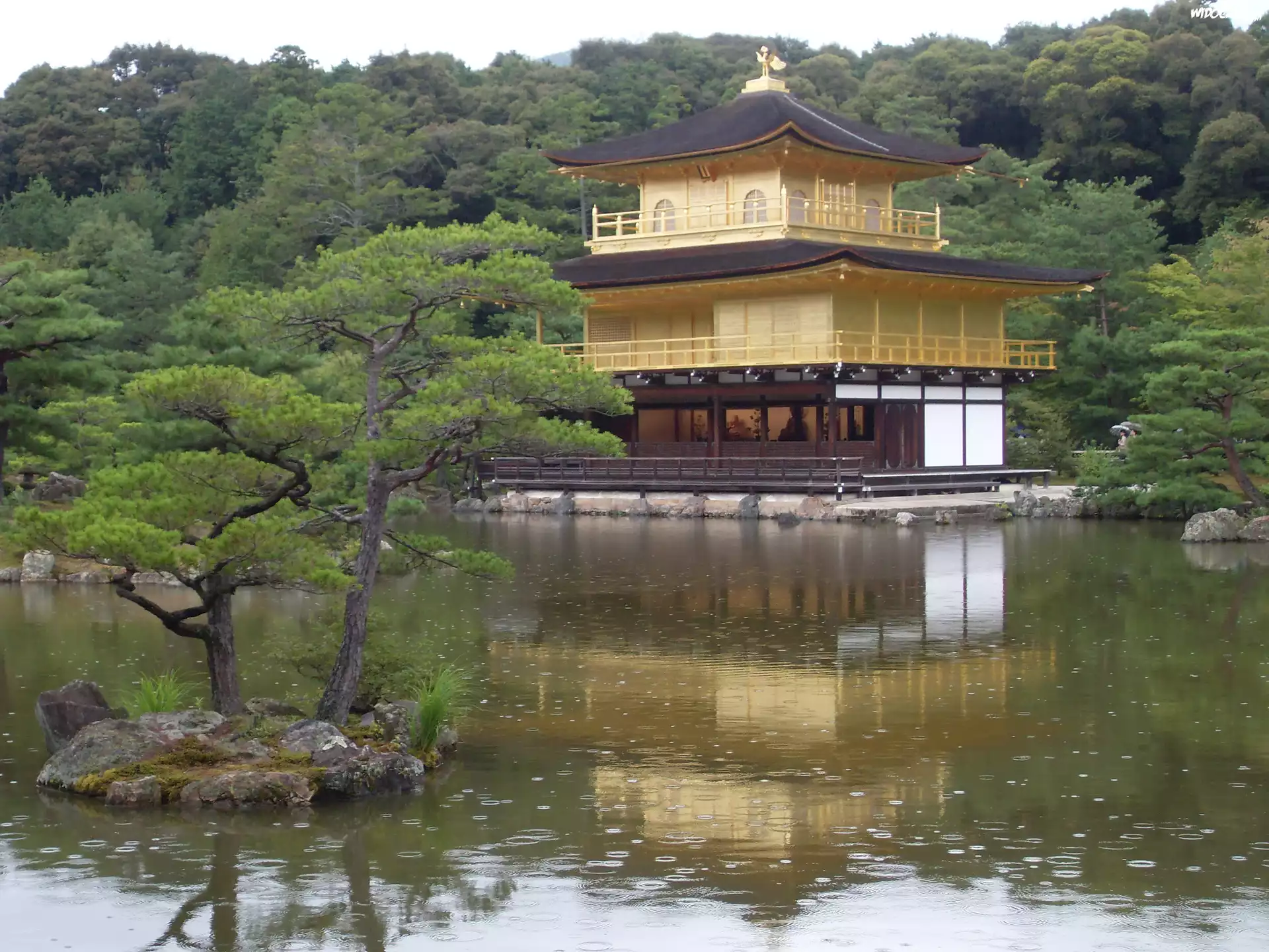 Świątynia Kinkakuji, Złoty Pawilon, Staw Kyko chi, Drzewa, Kioto, Japonia