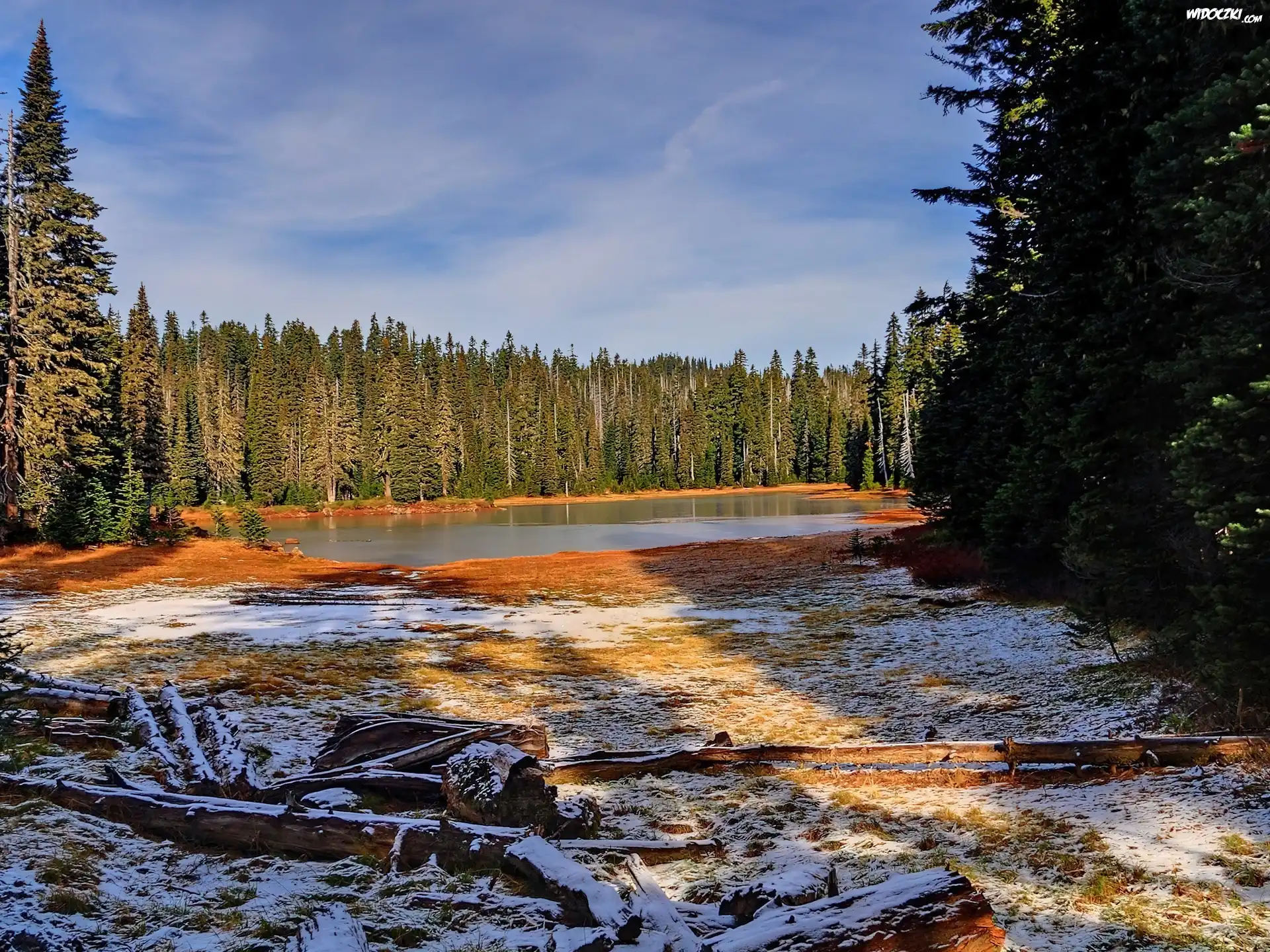 Jezioro, Las, Pierwszy, Śnieg