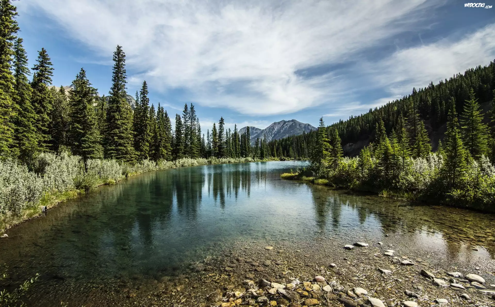 Jezioro Mount Lorette Ponds, Las, Góry Canadian Rockies, Kananaskis Country, Prowincja Alberta, Kanada