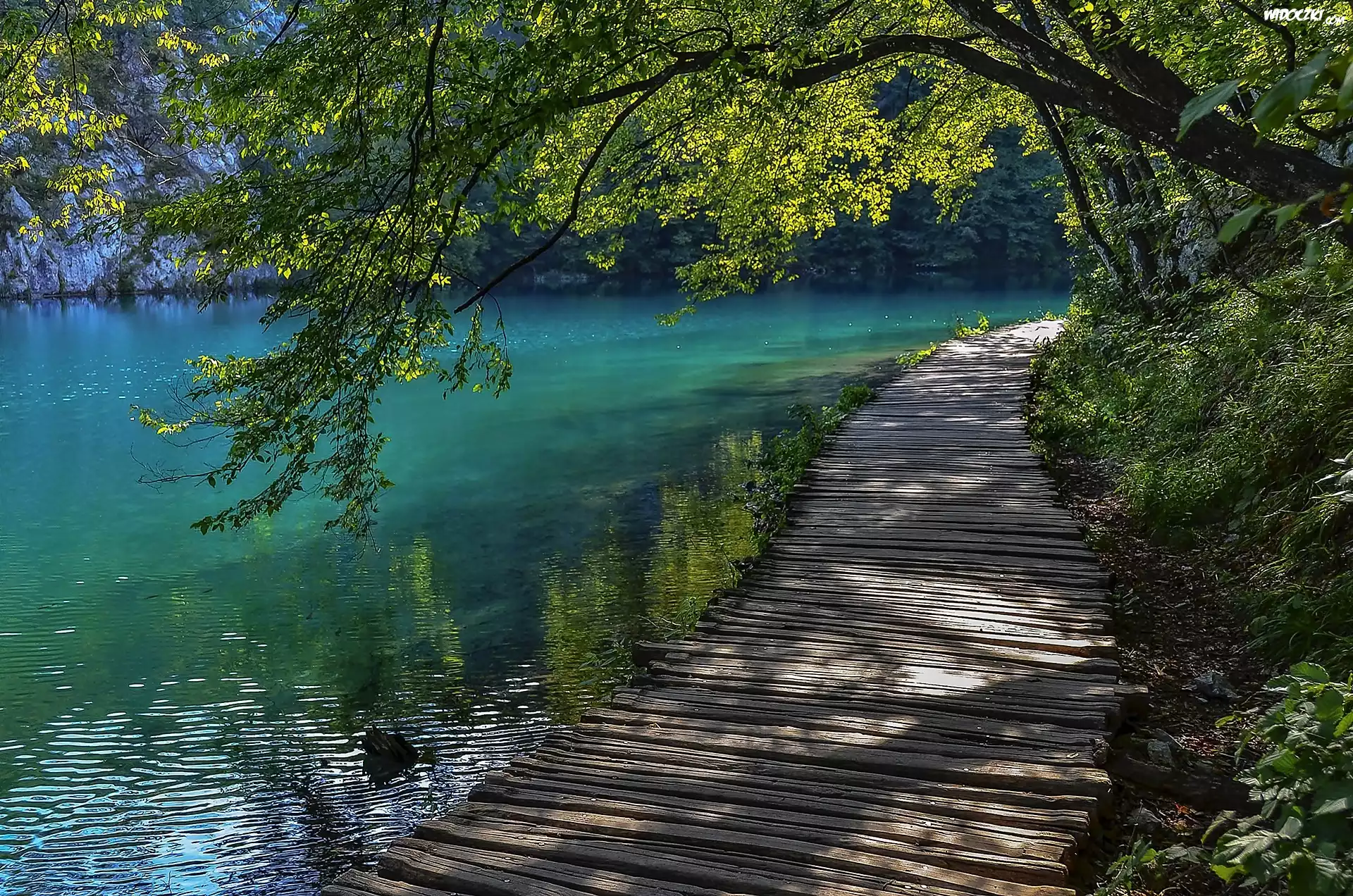 Jezioro, Bohinj, Pomost, Drzewa, Przebijające, Światło