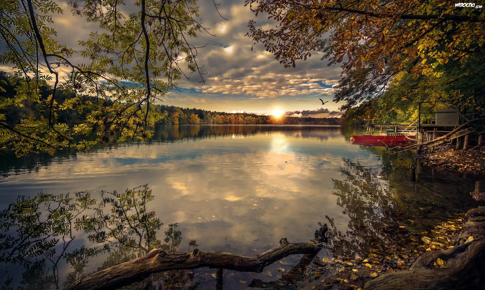Jezioro, Drzewa, Jesień, Zachód słońca, Łódka