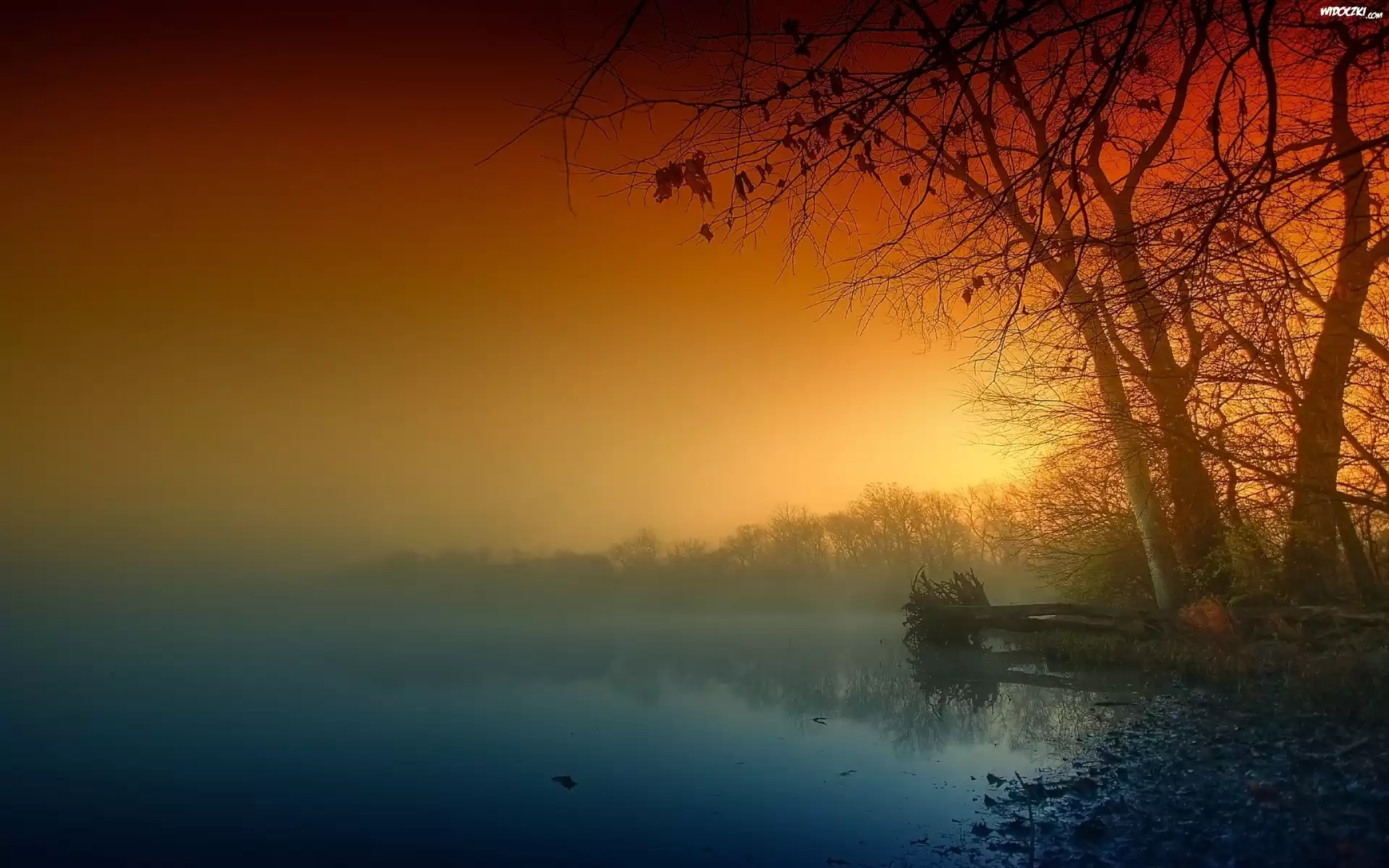 Jezioro, Las, Mgła, Wschód, Słońca, Jesień