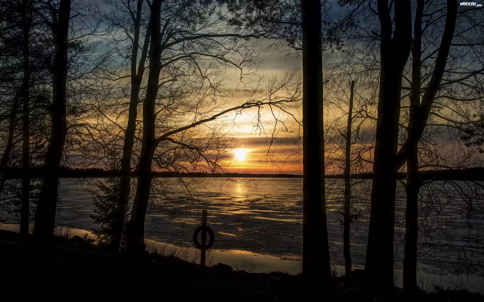 Jezioro, Zachód słońca, Drzewa