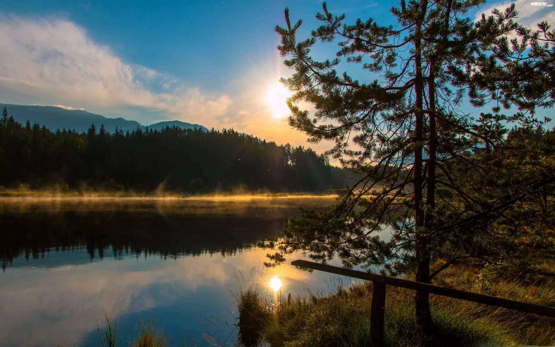 Jezioro, Góry, Zachód słońca, Drzewo