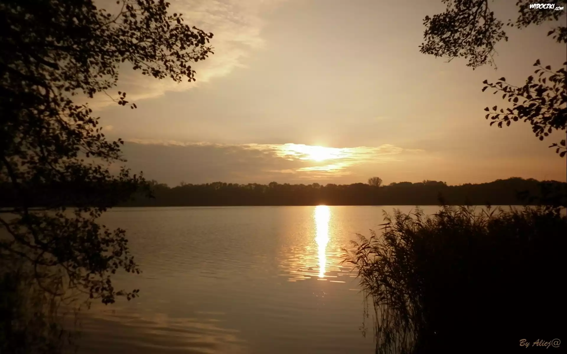 Jezioro, Zachód, Słońca, Szuwary
