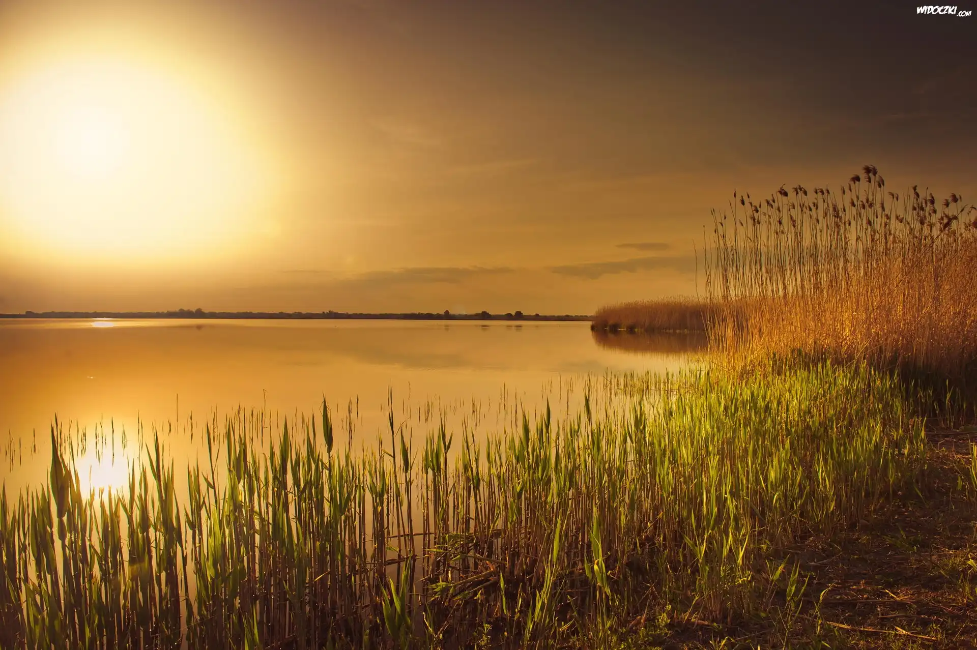 Jezioro, Zachód, Słońca, Trawa