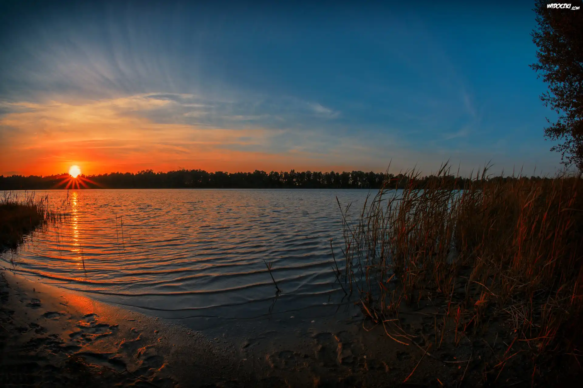 Jezioro, Zachód, Słońca, Trzciny