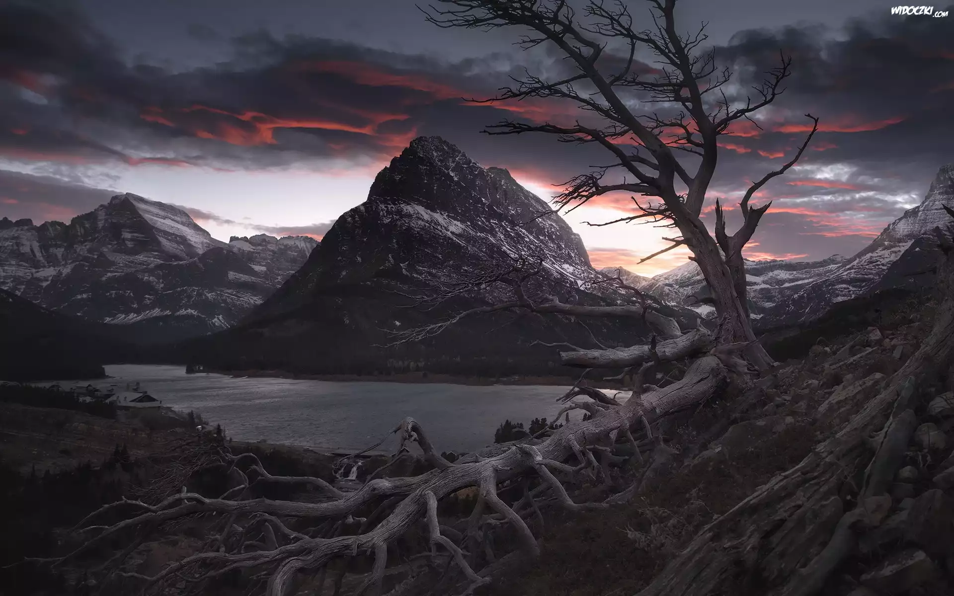 Jezioro, Swiftcurrent Lake, Góry, Park Narodowy Glacier, Bezlistne, Powalone, Drzewo, Zachód słońca, Montana, Stany Zjednoczone