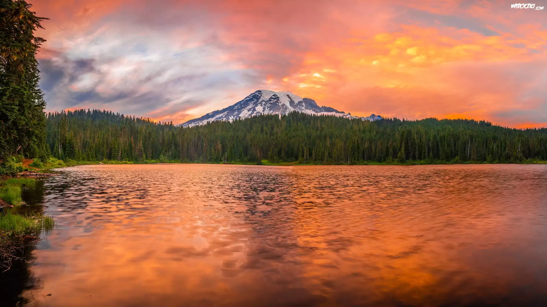 Jezioro, Góra, Stratowulkan Mount Rainier, Drzewa, Odbicie, Park Narodowy Mount Rainier, Stan Waszyngton, Stany Zjednoczone