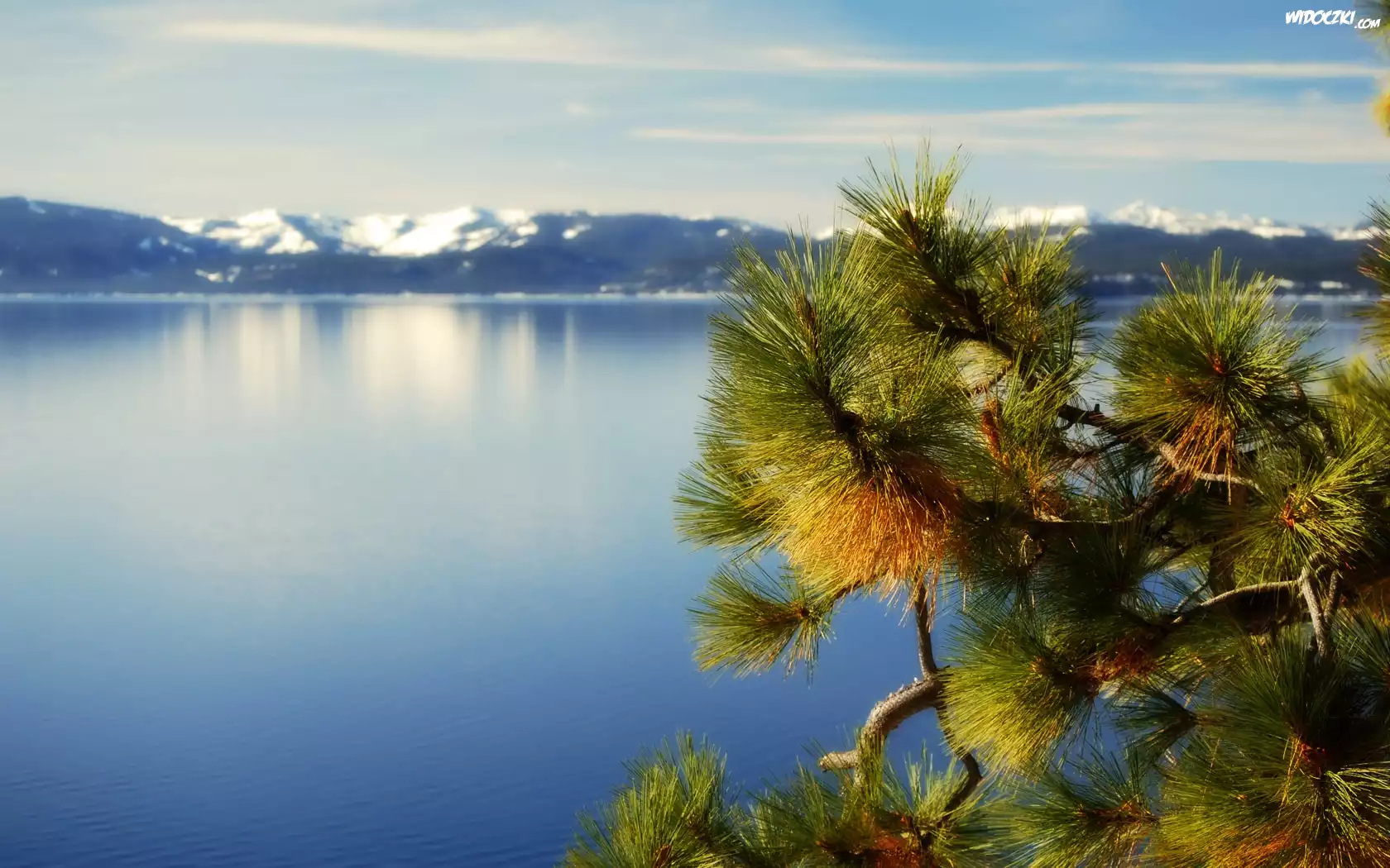 Jezioro, Góry, Gałązka, Tahoe, Kalifornia