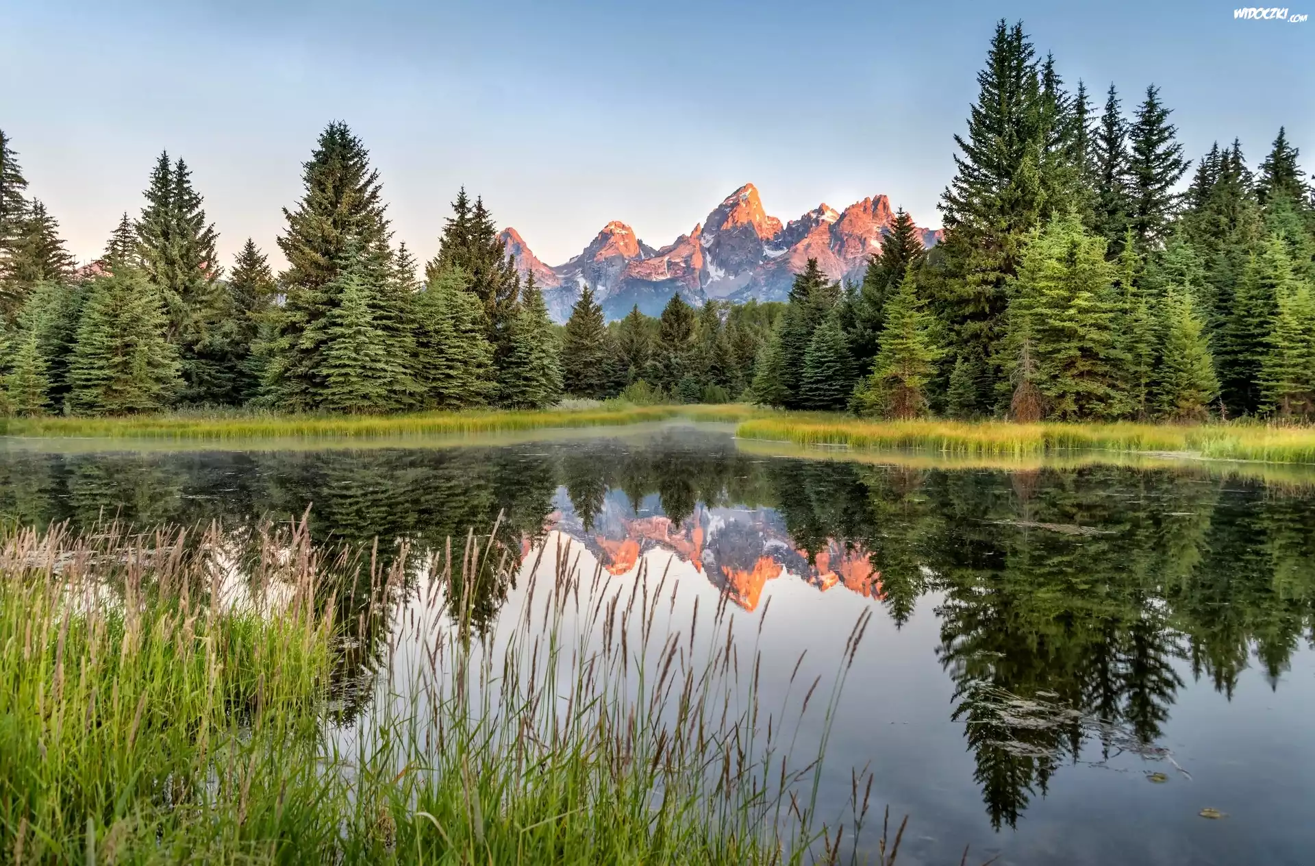 Stany Zjednoczone, Stan Wyoming, Park Narodowy Grand Teton, Rzeka Snake River, Góry Teton Range, Odbicie, Drzewa