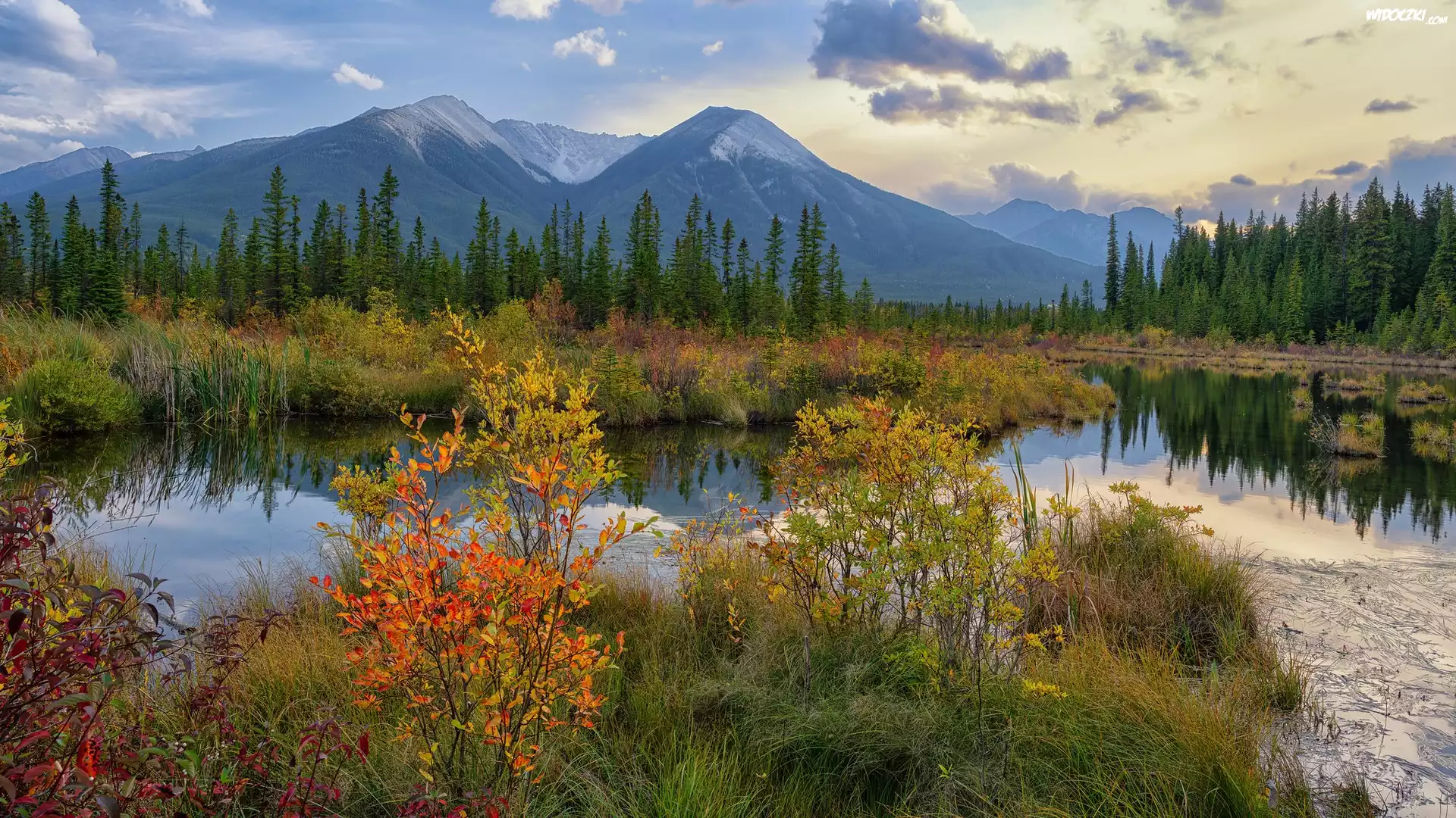 Kanada, Alberta, Park Narodowy Banff, Góry, Jezioro, Vermilion Lake, Drzewa, Jesień