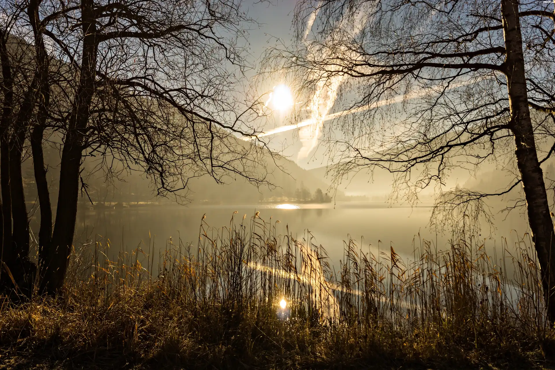 Jezioro, Góry, Świt, Mgła