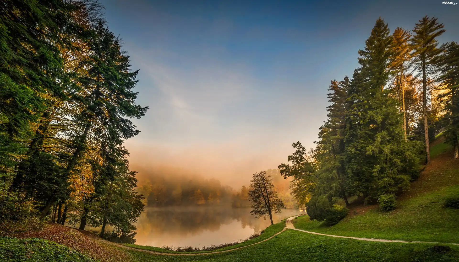 Jezioro, Las, Mgła, Świt, Chorwacja