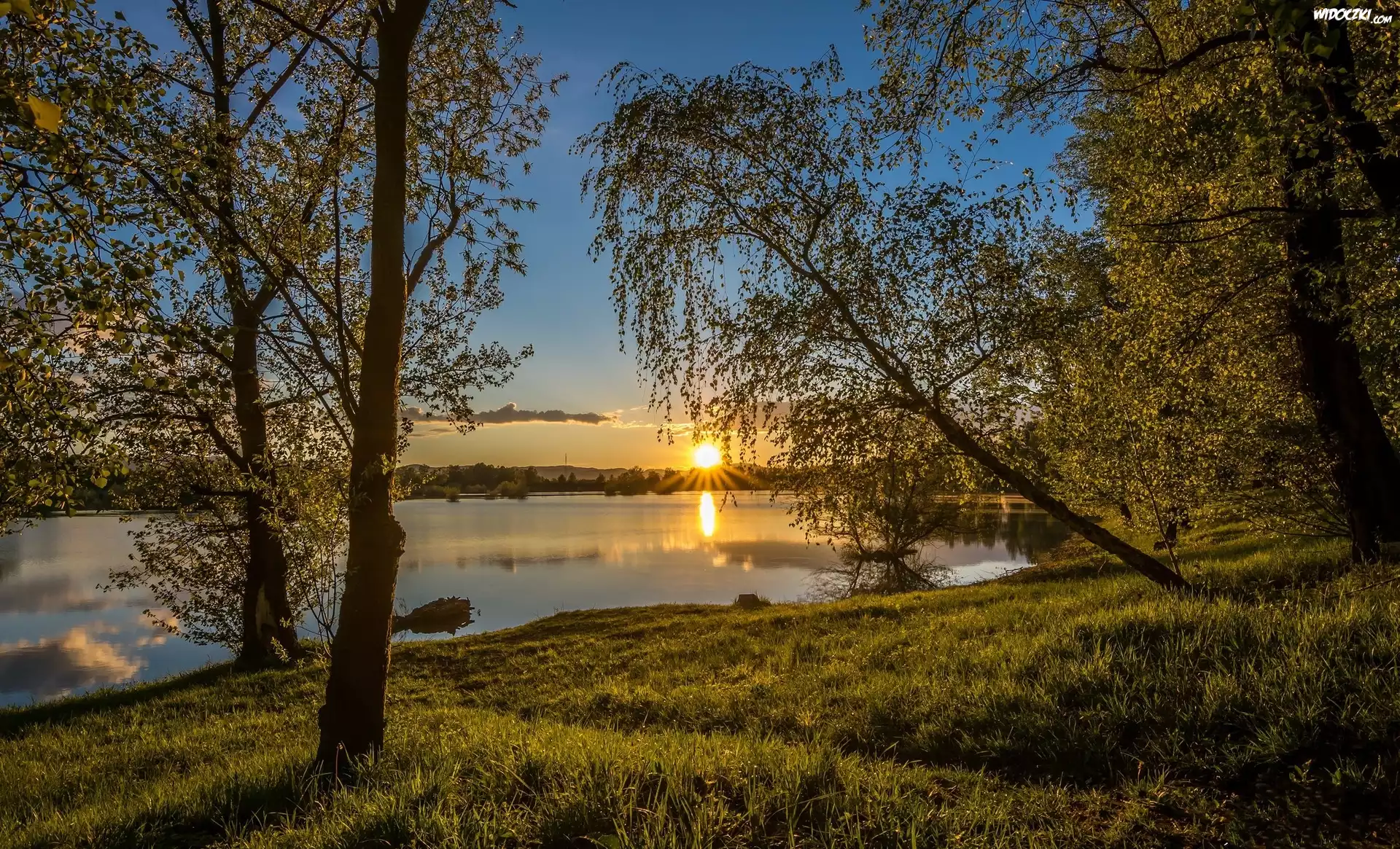 Jezioro, Drzewa. Wschód, Słońca