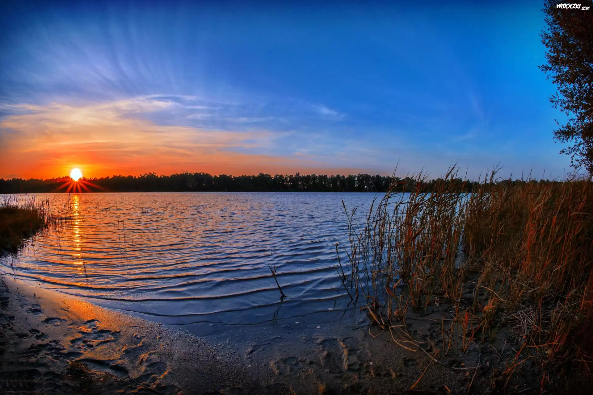 Jezioro, Szuwary, Wschód, Słońca