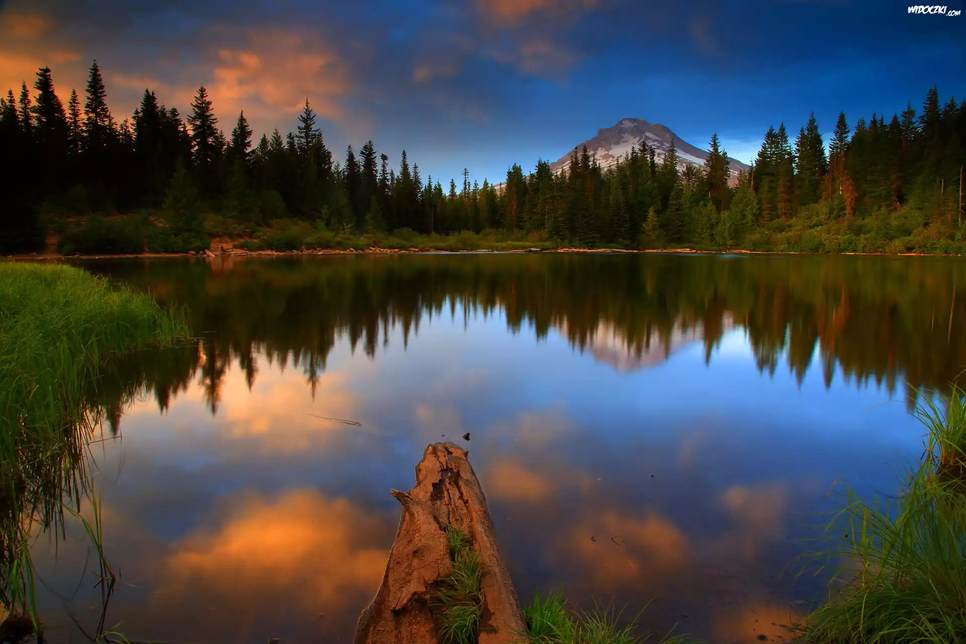 Jezioro, Mirror, Las, Odbicie, Yosemite, Kalifornia