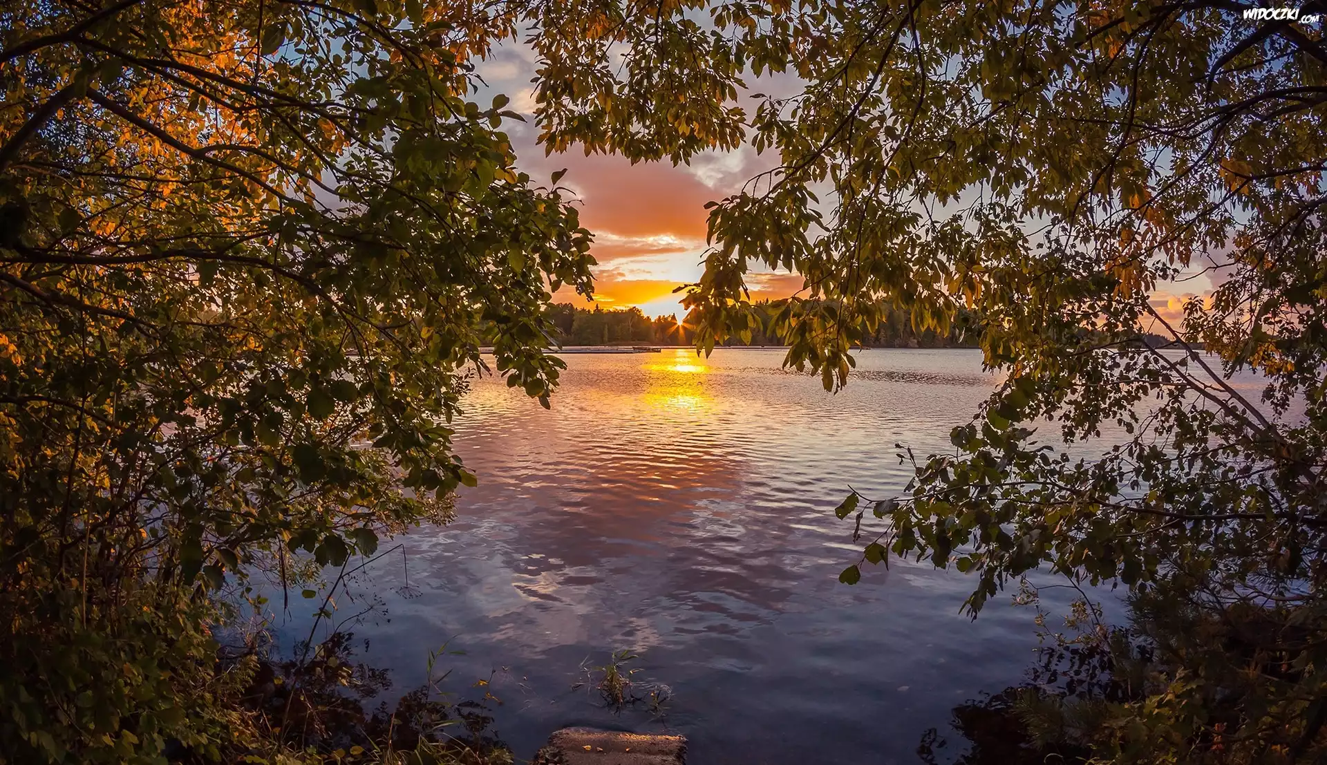 Jezioro, Drzewa, Gałęzie, Liście, Zachód słońca