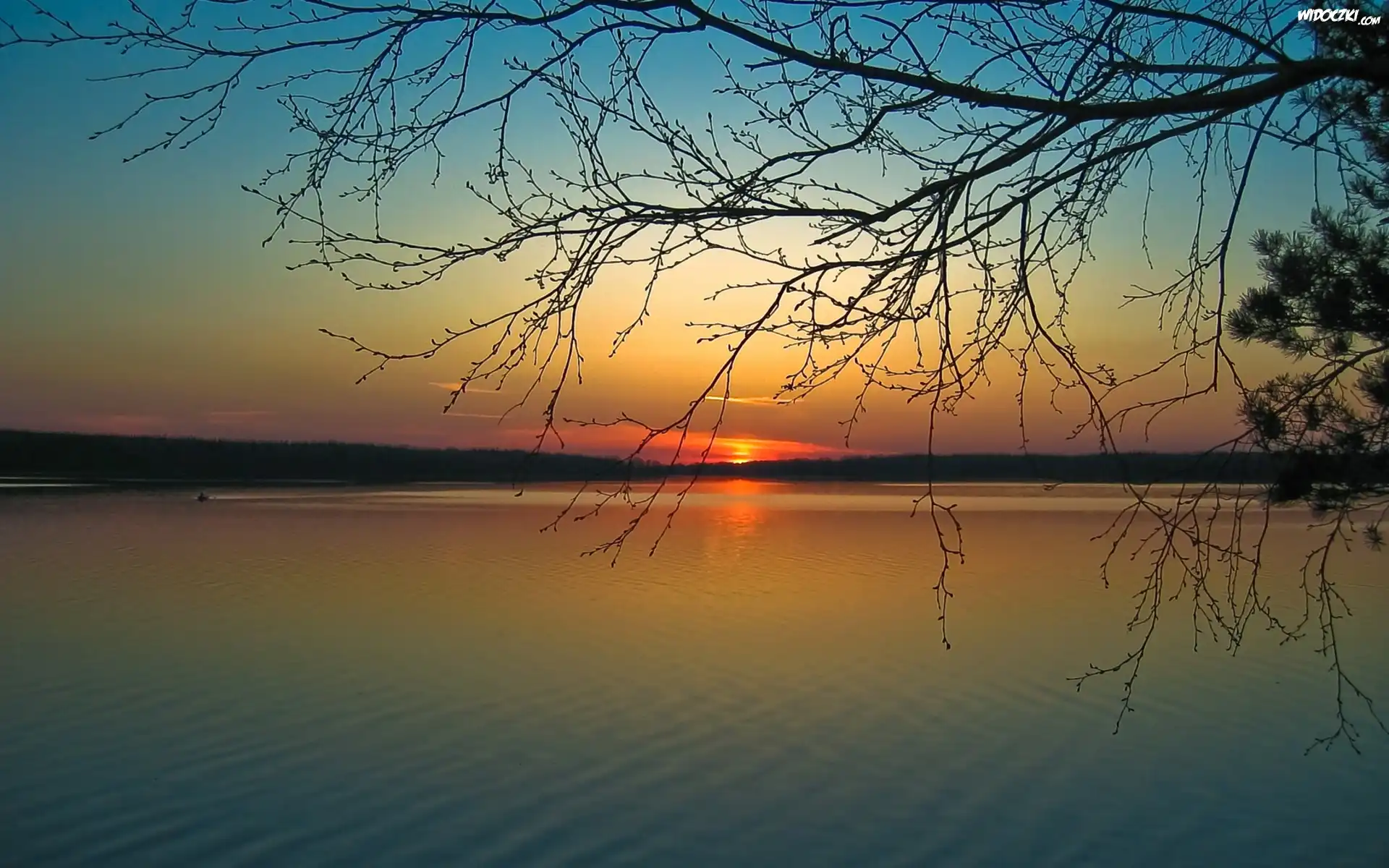 Jezioro, Lasy, Łódka, Zachód, Słońca