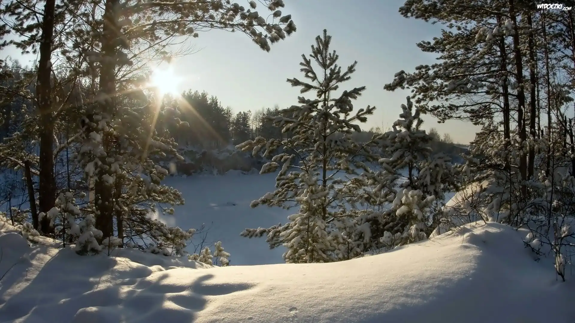 Zima, Jezioro, Las