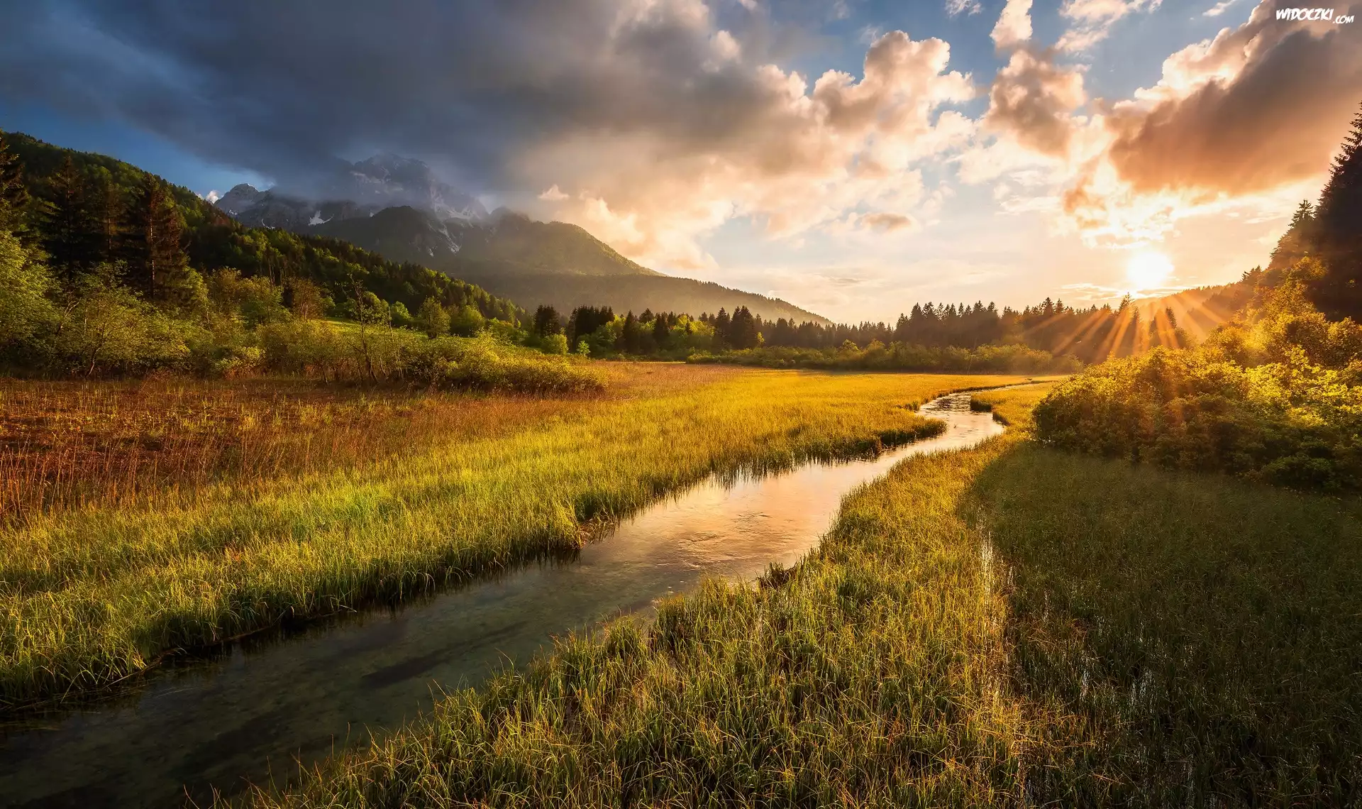 Słowenia, Kranjska Gora, Alpy Julijskie, Rezerwat przyrody Zelenci Springs, Zschód słońca, Rzeka, Łąka, Drzewa