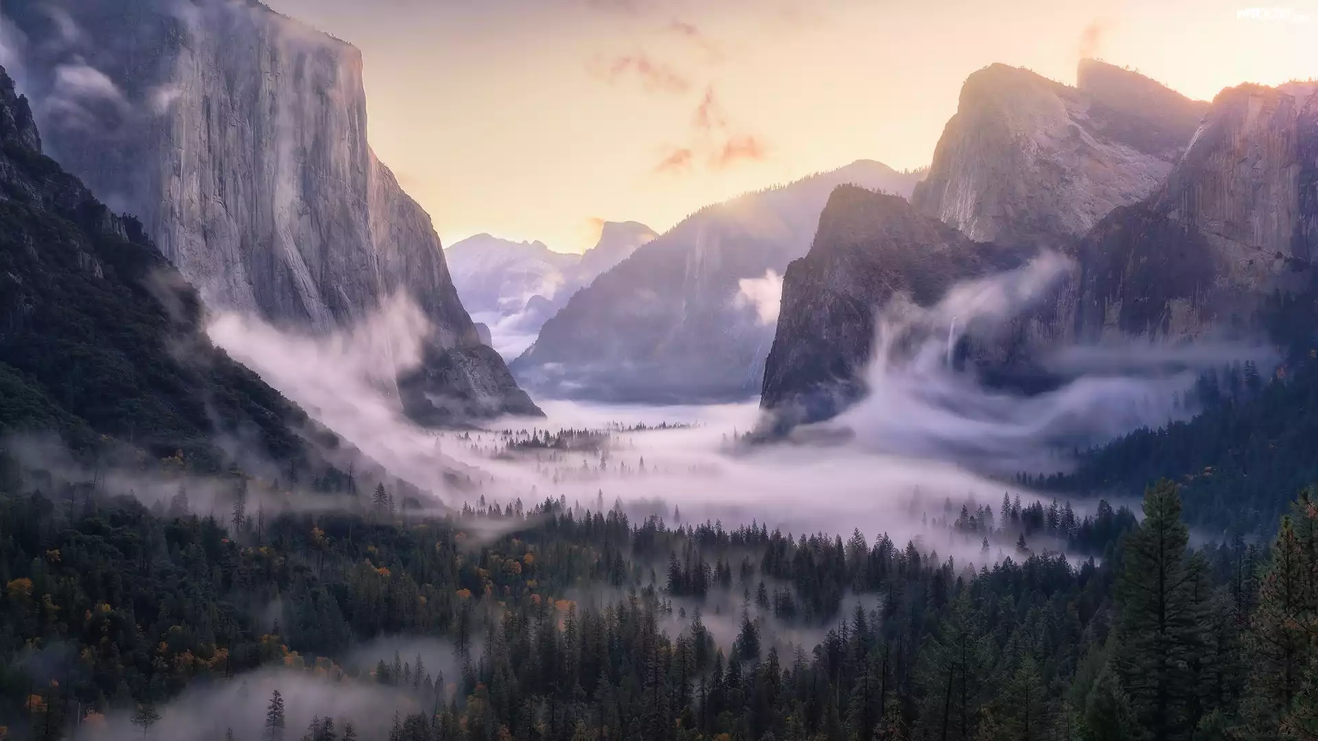 Góry, Las, Opadająca, Mgła, Yosemite Valley, Park Narodowy Yosemite,
Kalifornia, Stany Zjednoczone