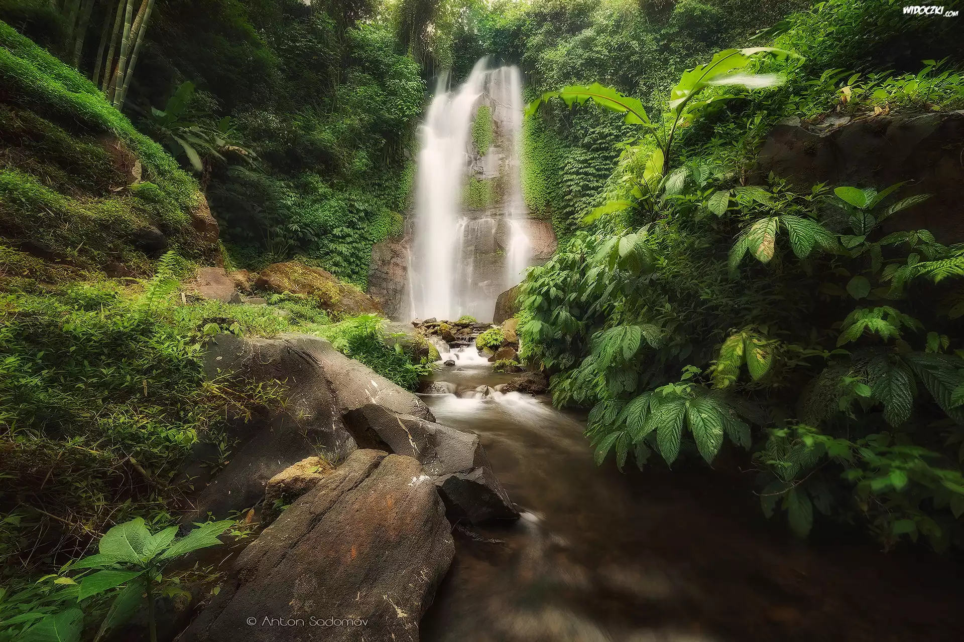 Wodospad, Kamienie, Skała, Las, Roślinność, Wyspa Bali, Indonezja