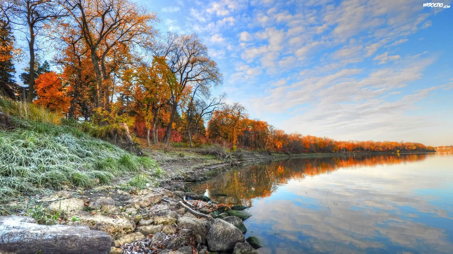 Jezioro, Kamienie, Drzewa