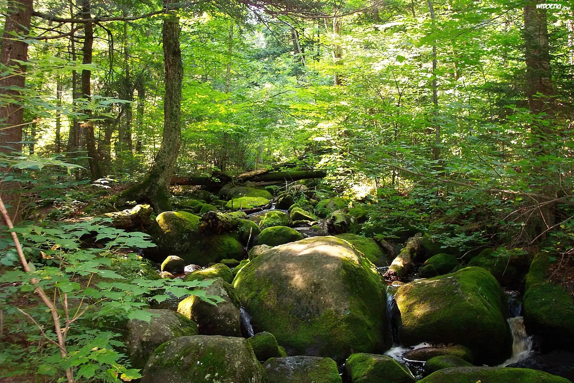 Kamienie, Adirondack, Nowy York