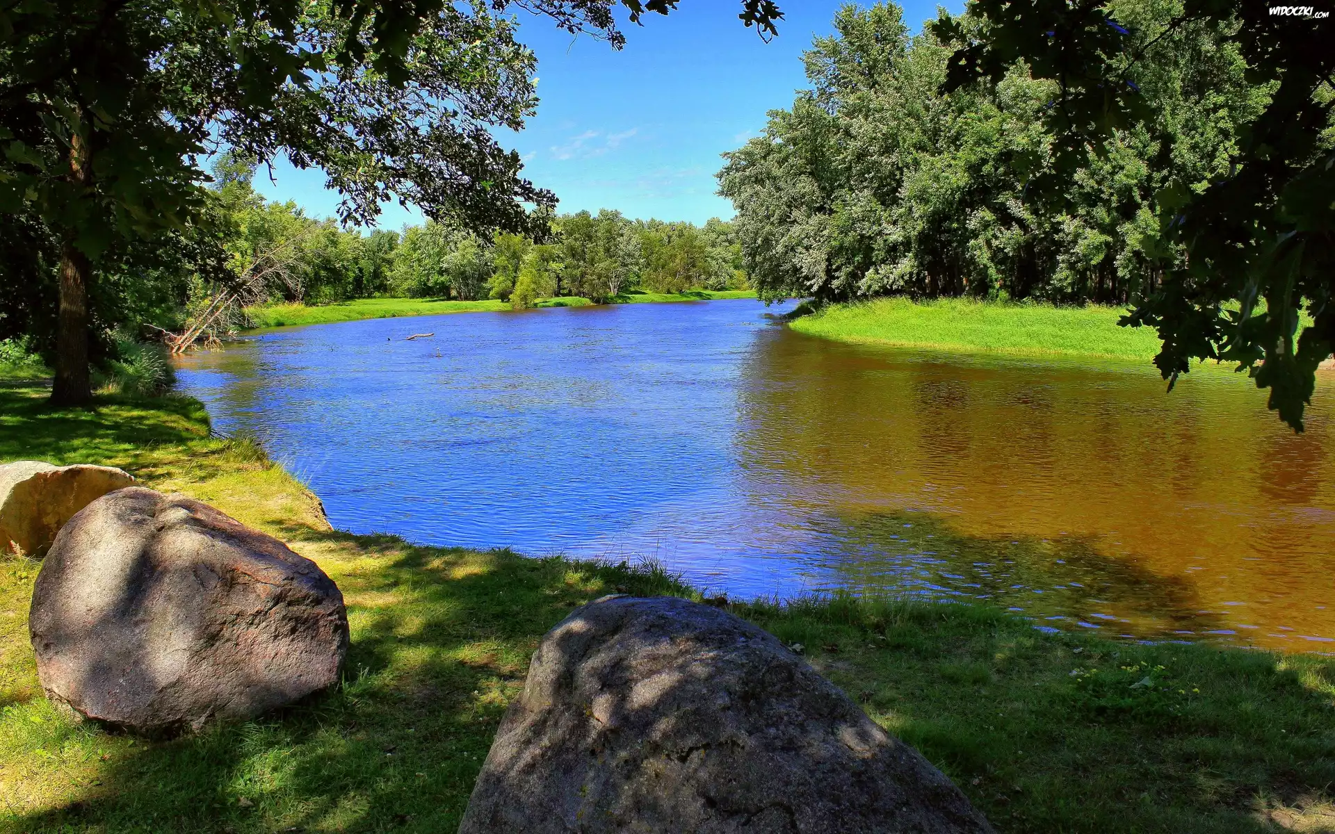 Rzeka, Kamienie, Las
