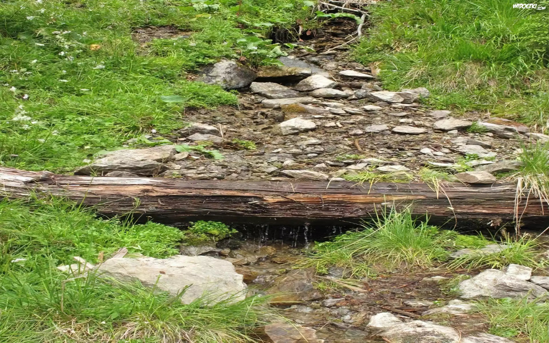 Strumyk, Kamienie, Kłoda