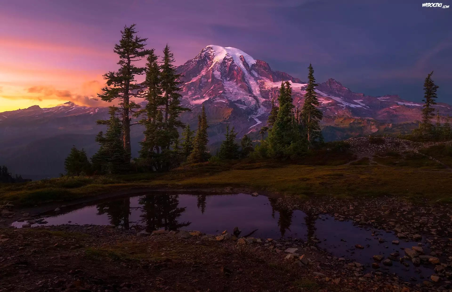 Stany Zjednoczone, Waszyngton, Mount Rainier, Las, Niebo, Góry, Drzewa, Kamienie, Zachód słońca