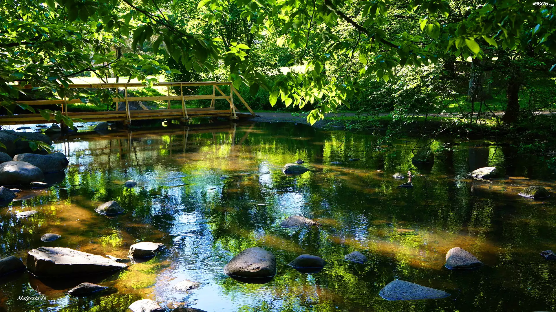 Polska, Gdańsk, Park Oliwski im. Adama Mickiewicza, Mostek, Strumyk